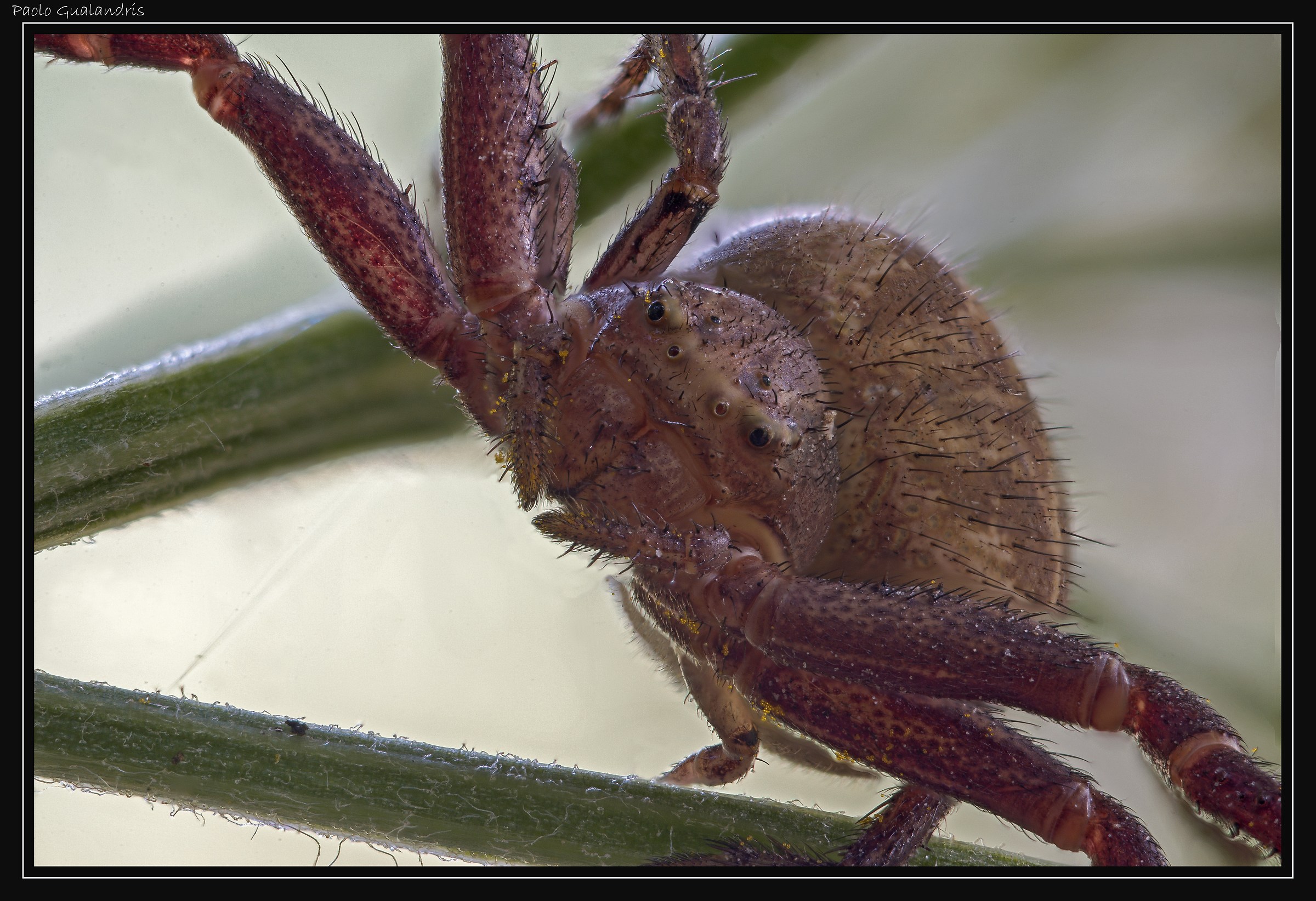 Beautiful Inside ...