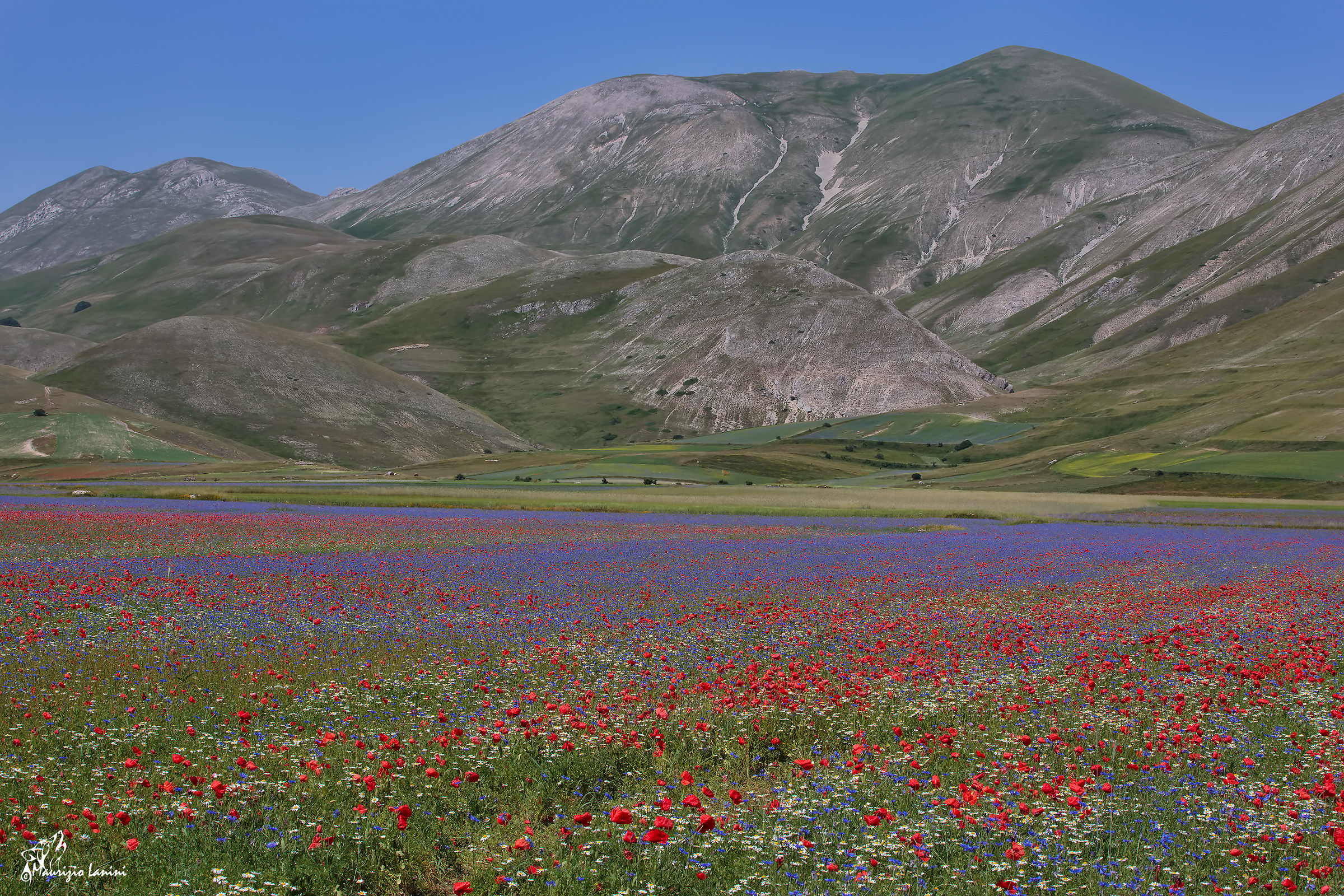 Castelluccio di Norcia - La fiorita ( preferibile HD)