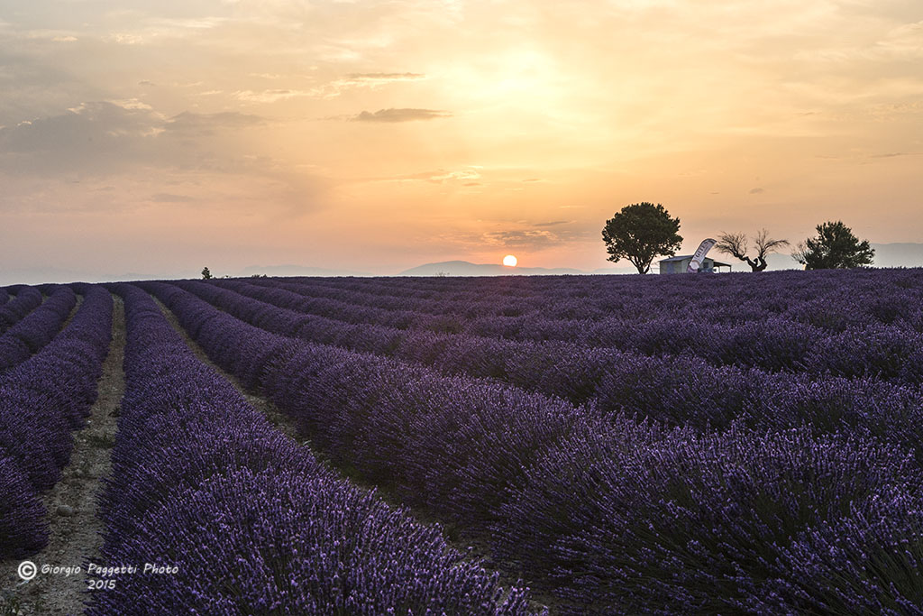 Alba in Provence