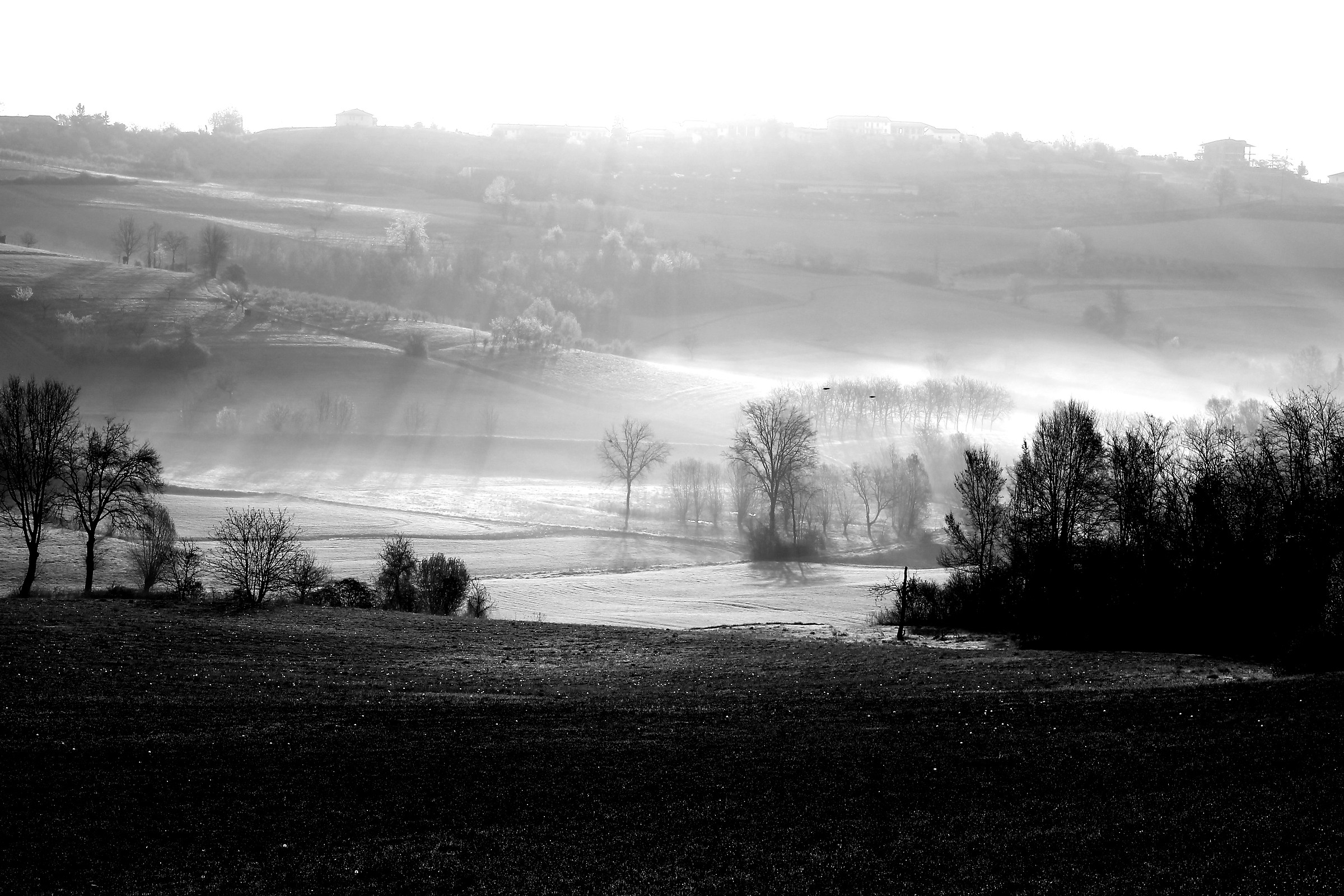 black and white is more beautiful !!!