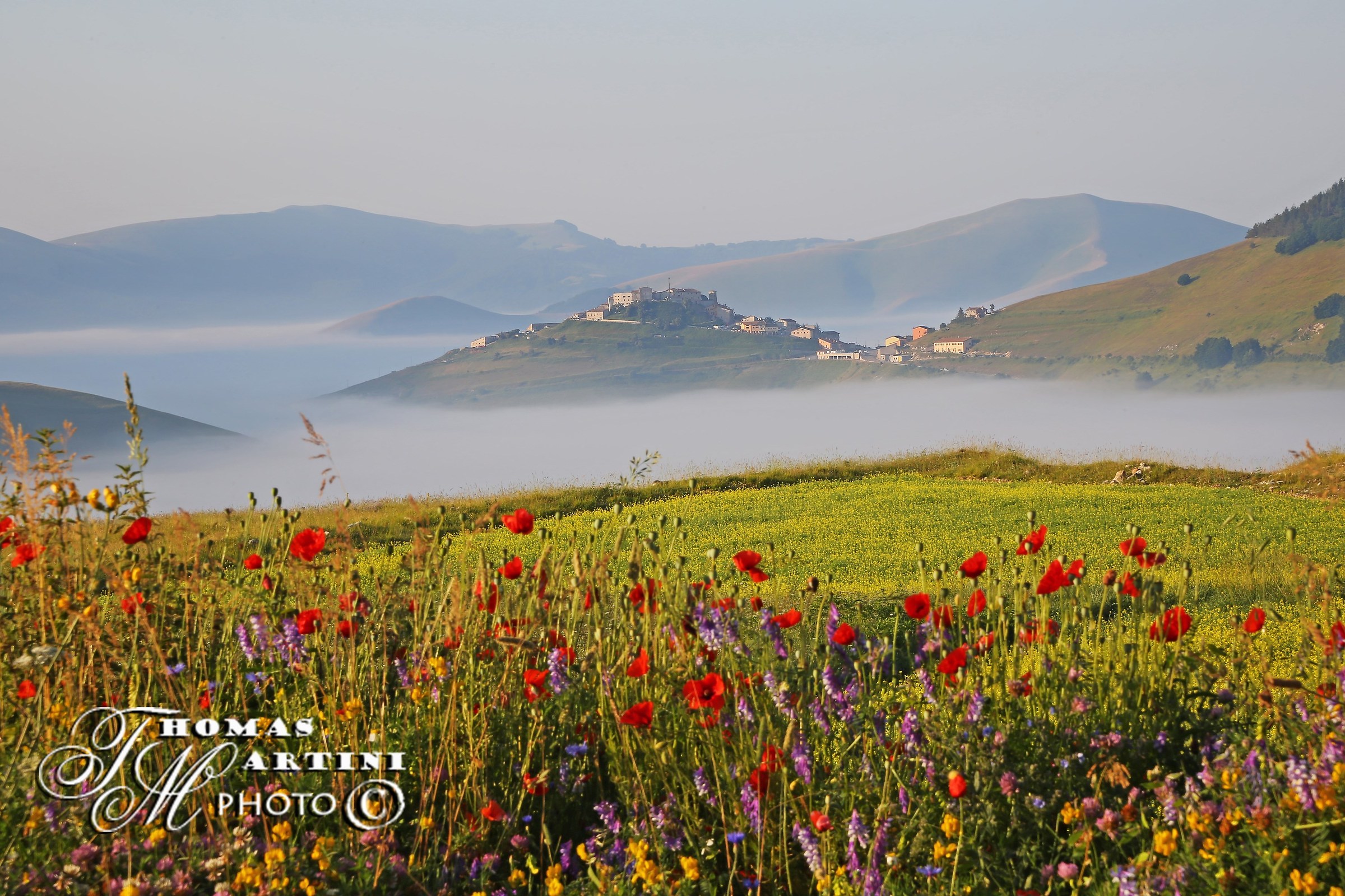 Castelluccio fiori e nebbie