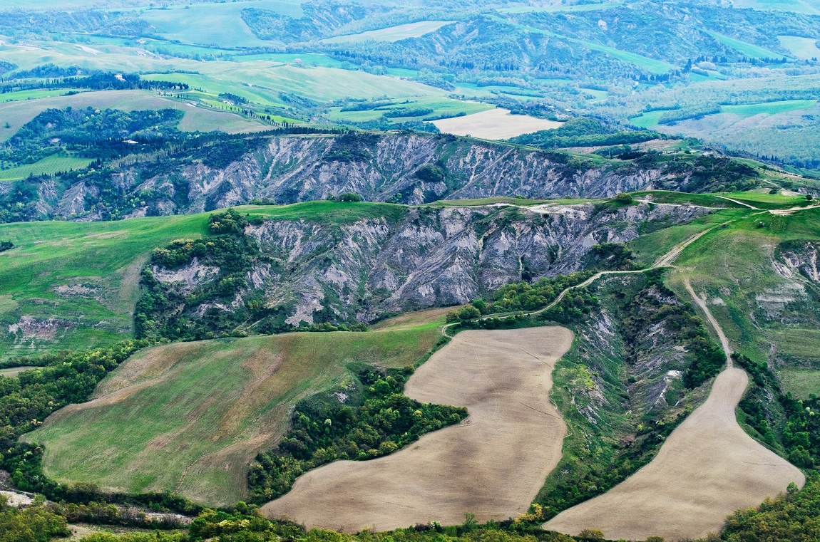 pipistrello in volo...