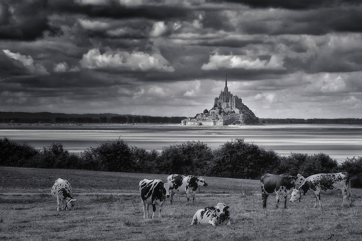 Bay of Mont St. Michel from Le Grouin du Sud
