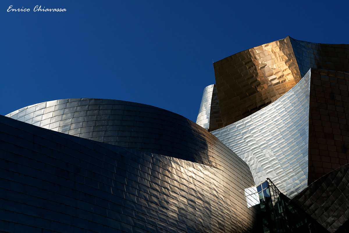 Bilbao Guggenheim Museum