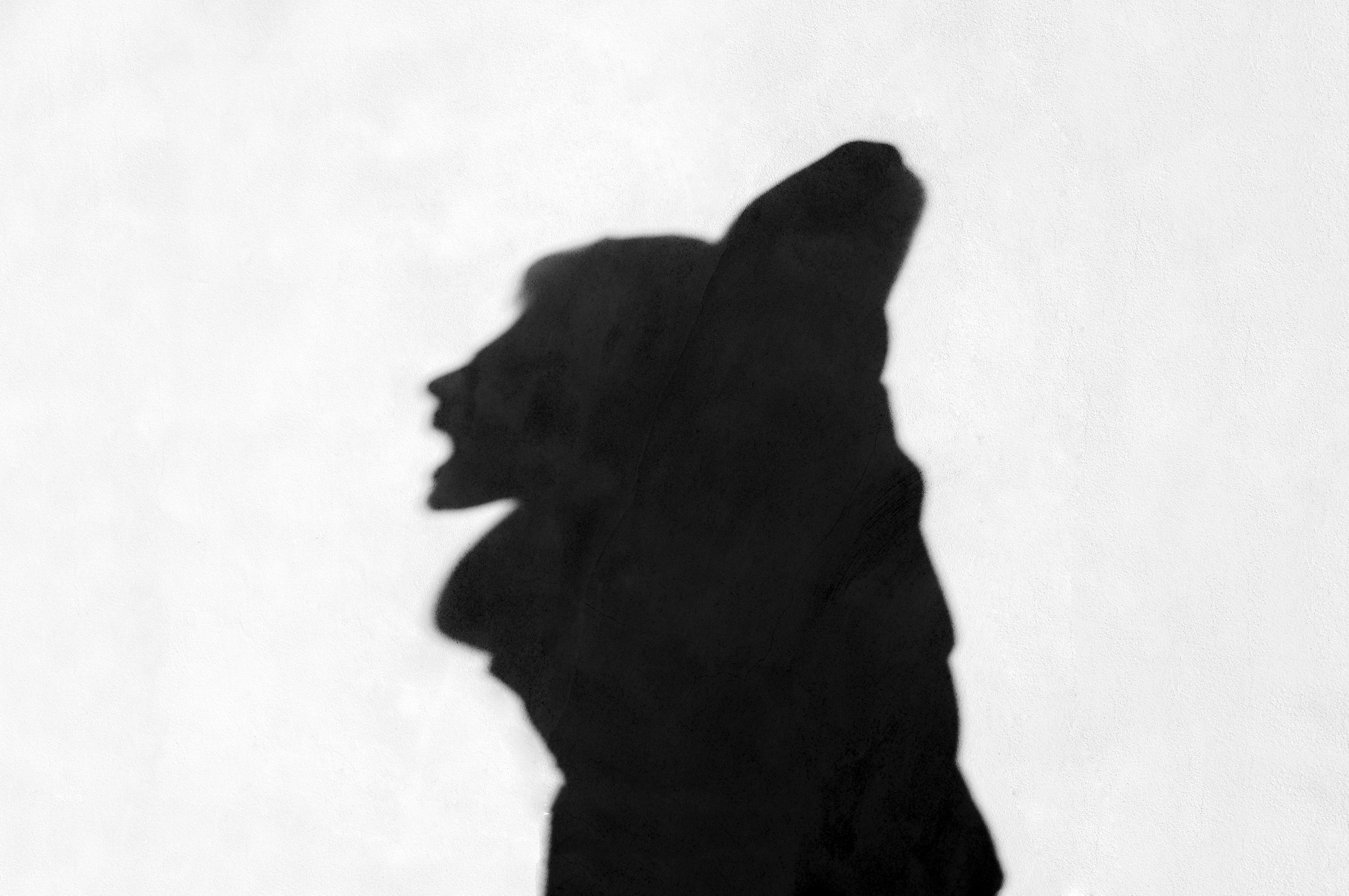 # 11. Shadow's metamorphosis