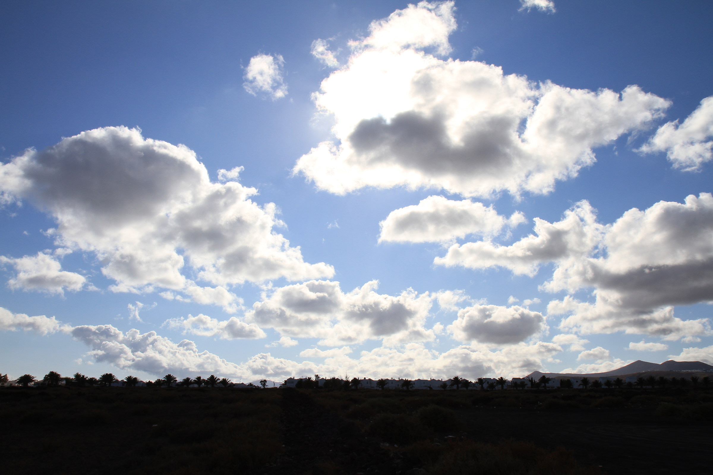 Contrasts in the sky