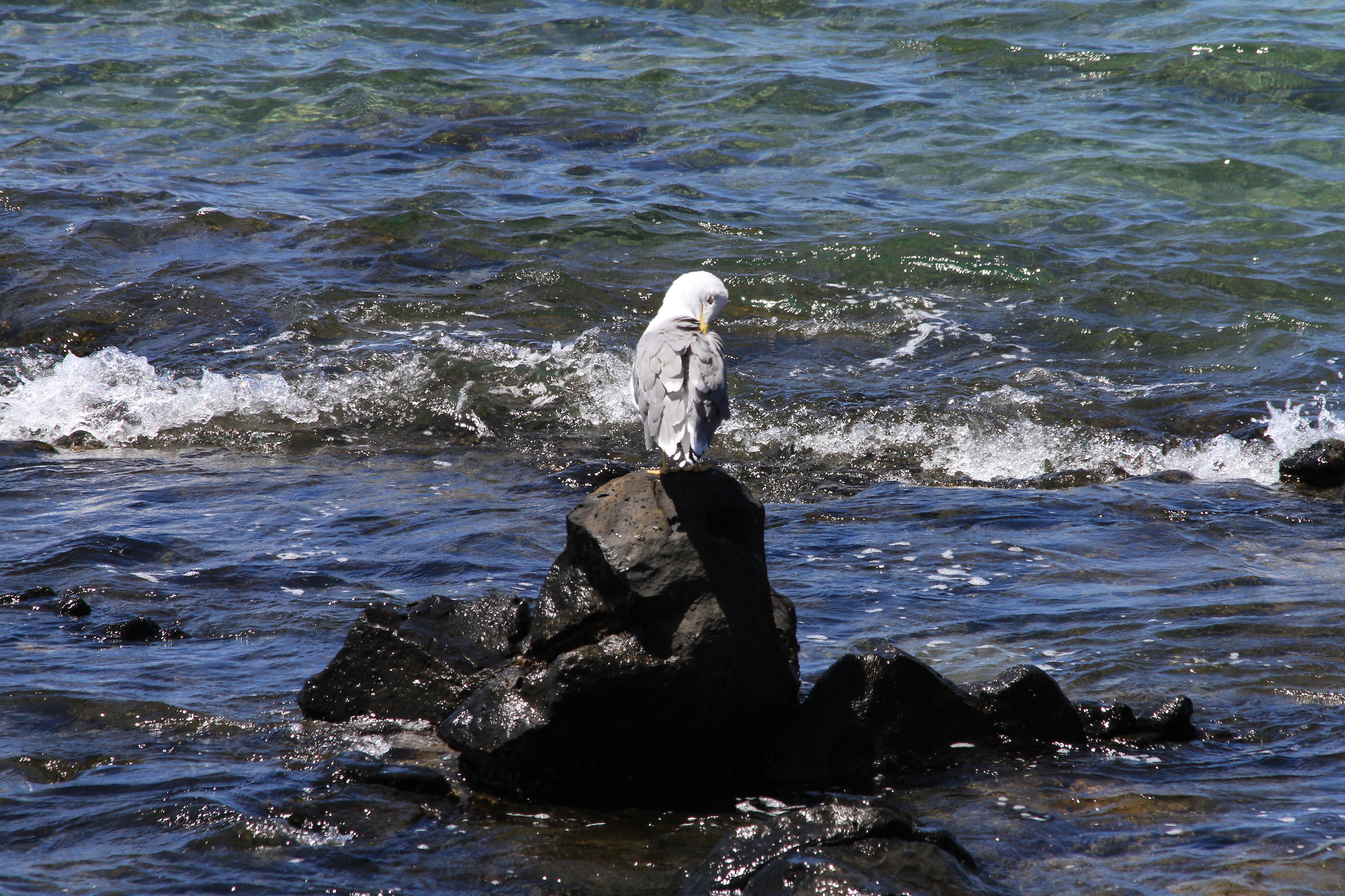 I prepare for the bath
