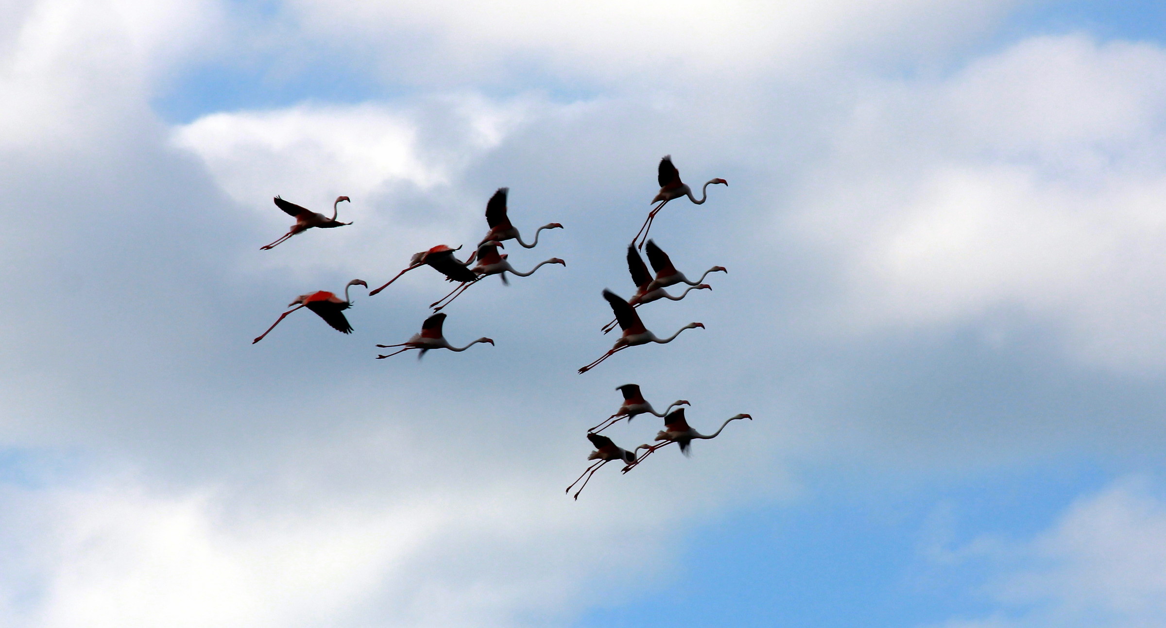 The return before sunset