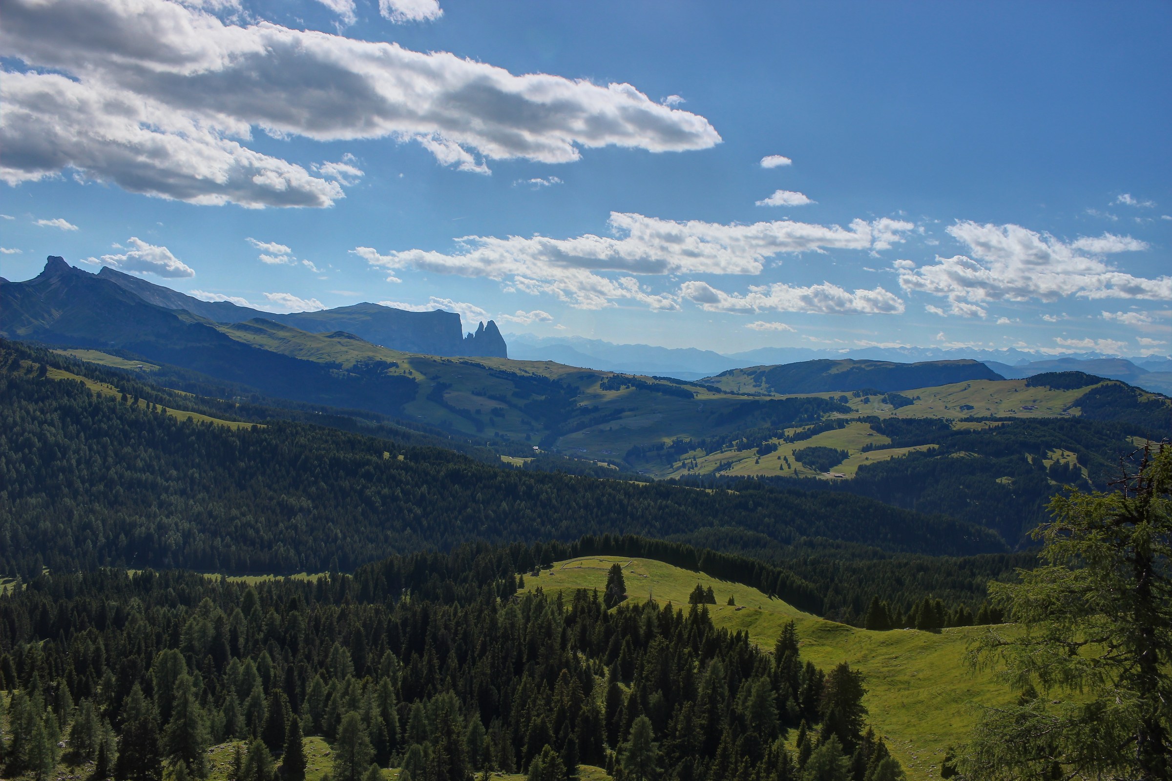 Alpe di Siusi dal Rif. Venezia al Sassolungo - HDR