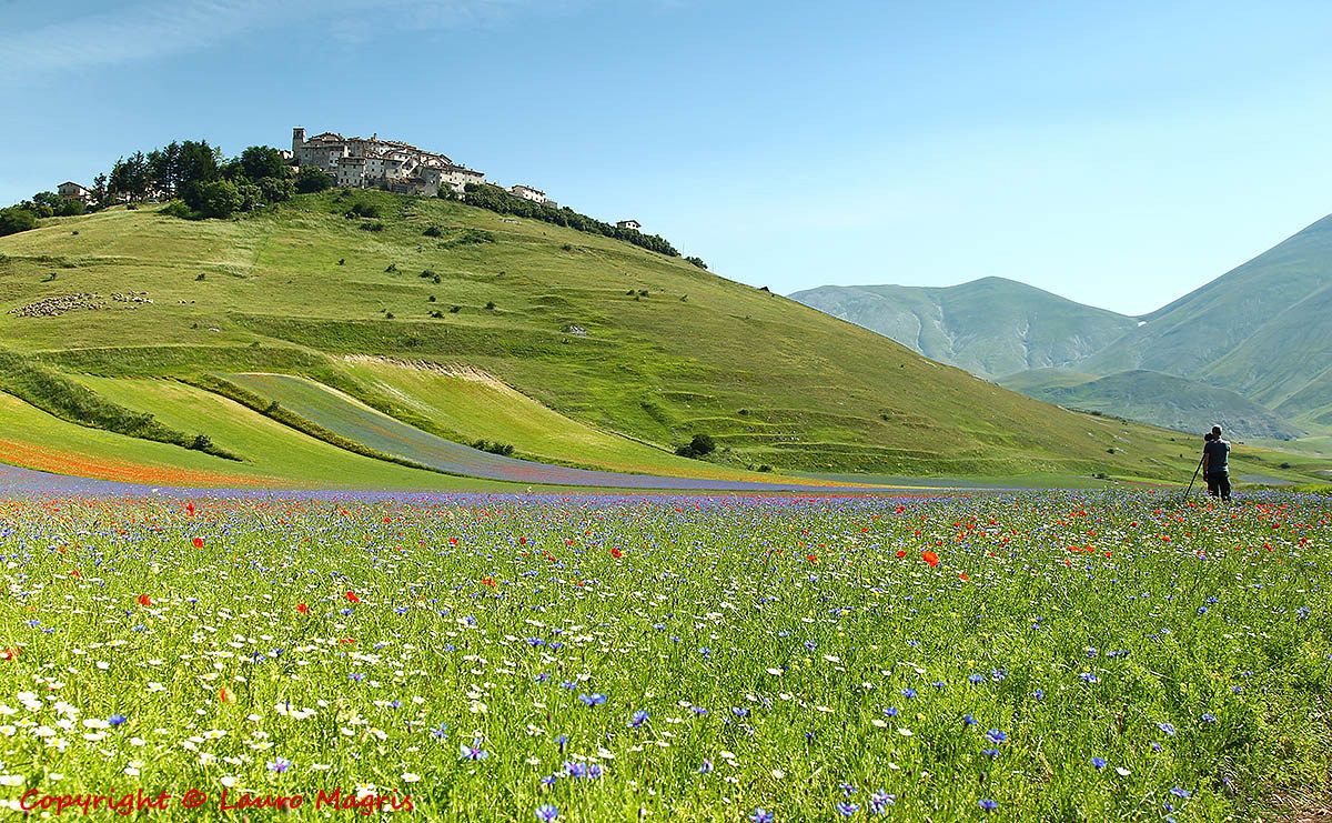 Photographer among the flowers