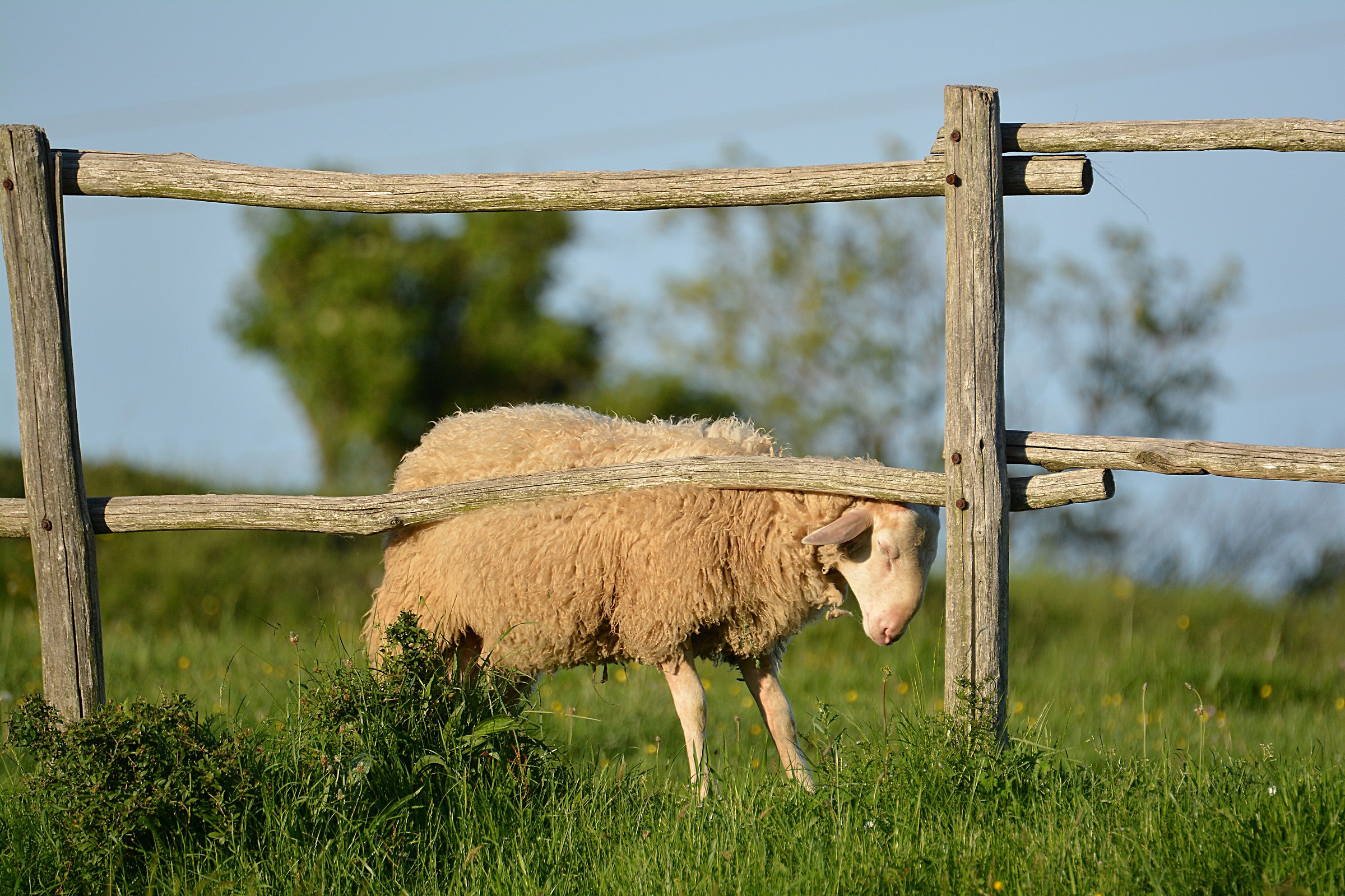 Grattatina al tramonto