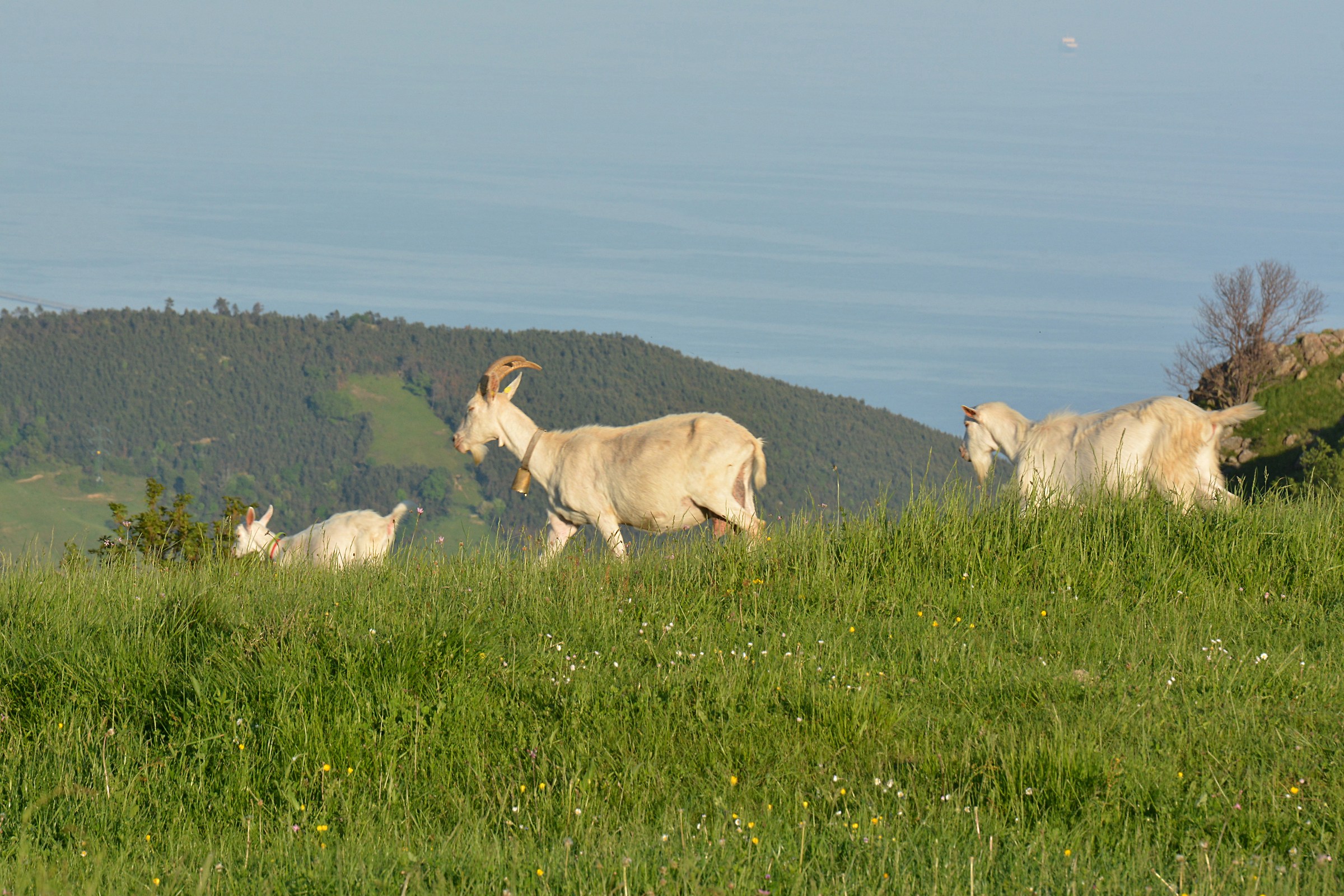 Passeggiata con vista