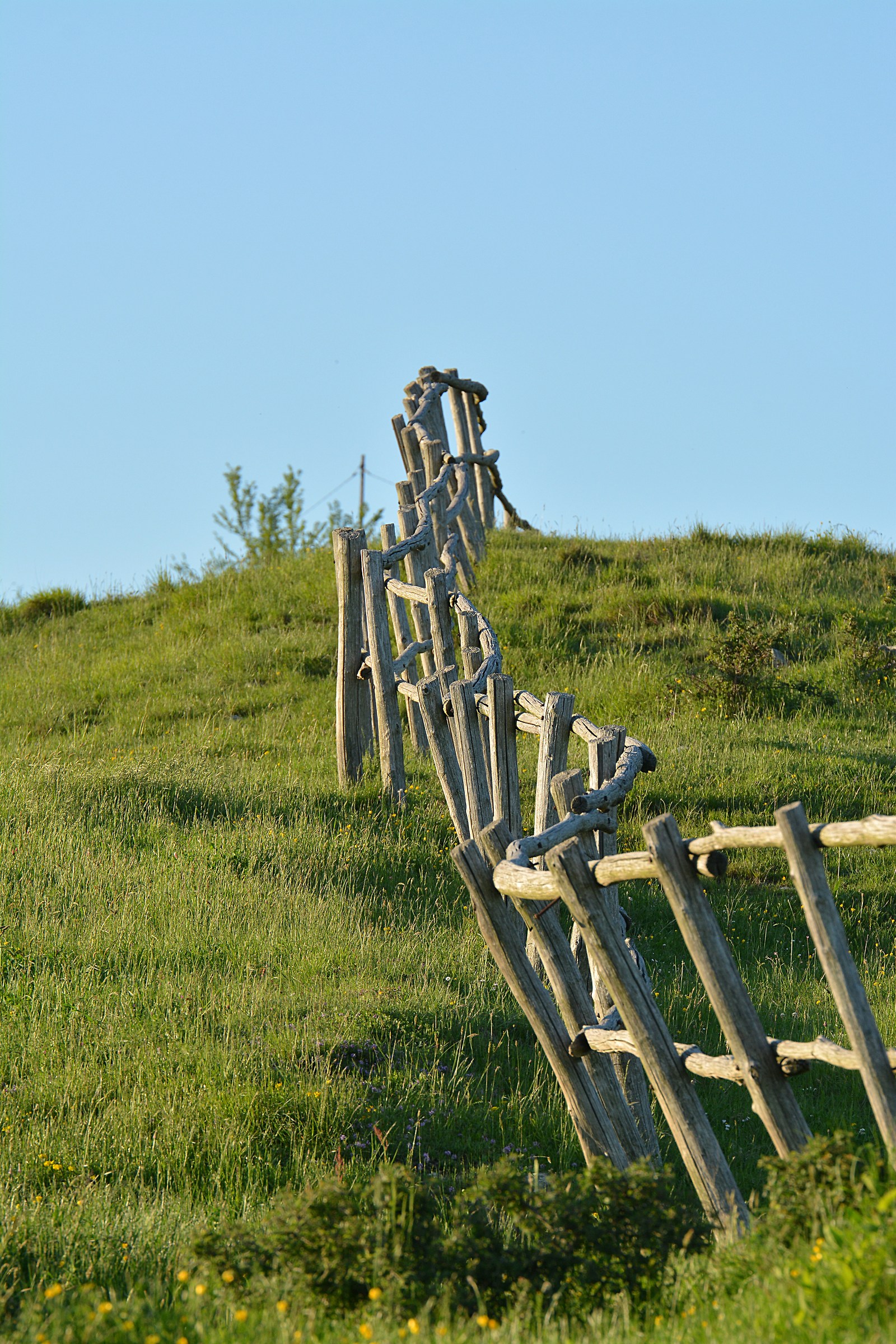 Diversamente diritto