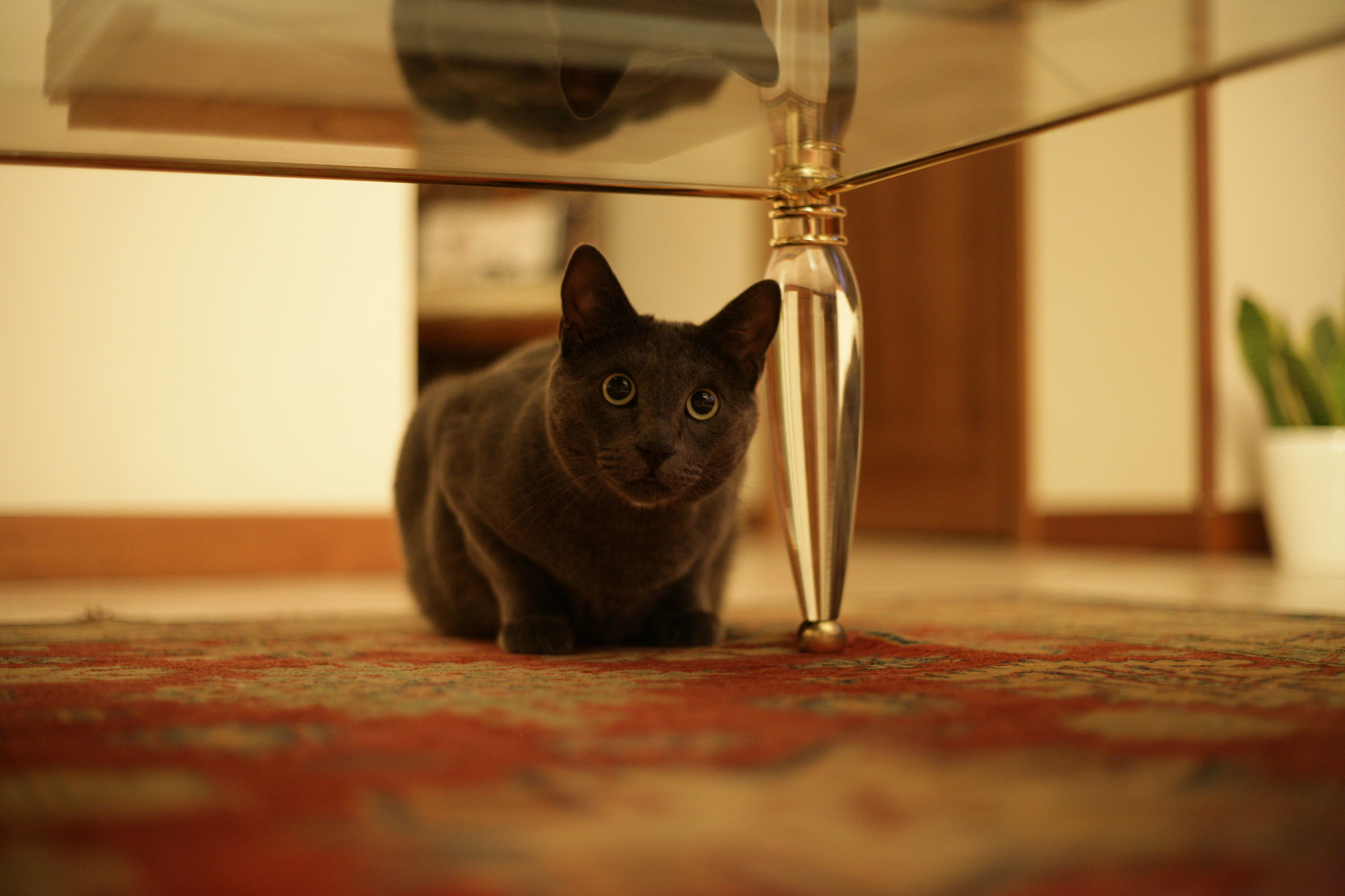 Two years and not hear!