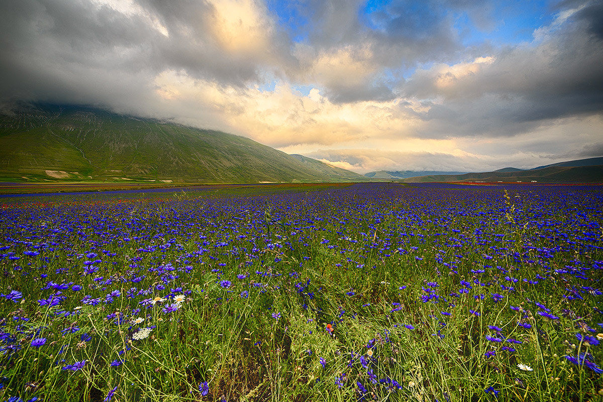 Castelluccio 1