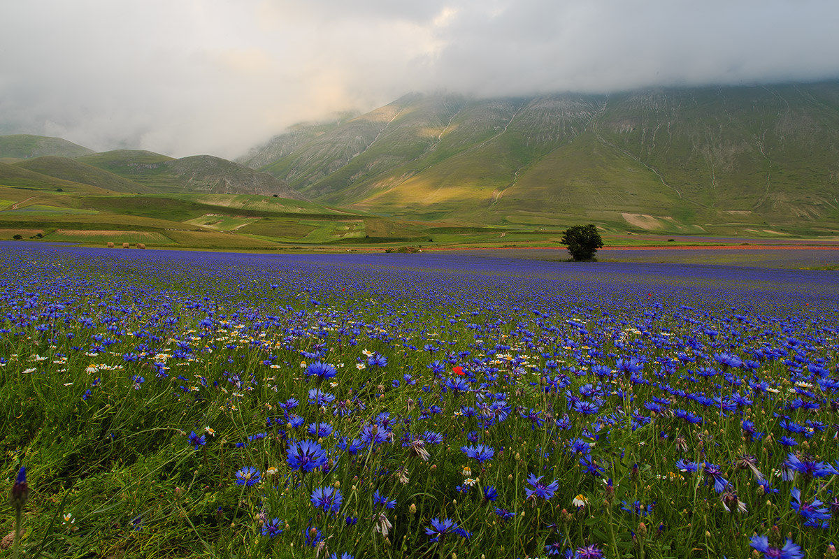 Castelluccio 2