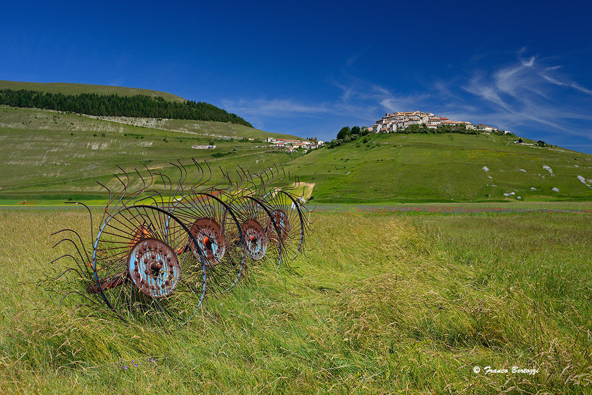 Castelluccio of Norcia in 2015 10