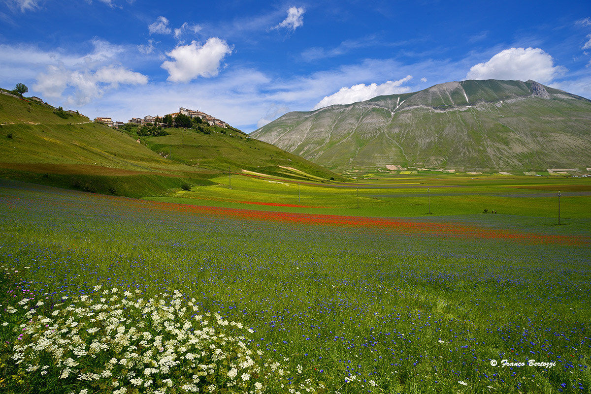 Castelluccio of Norcia in 2015 12