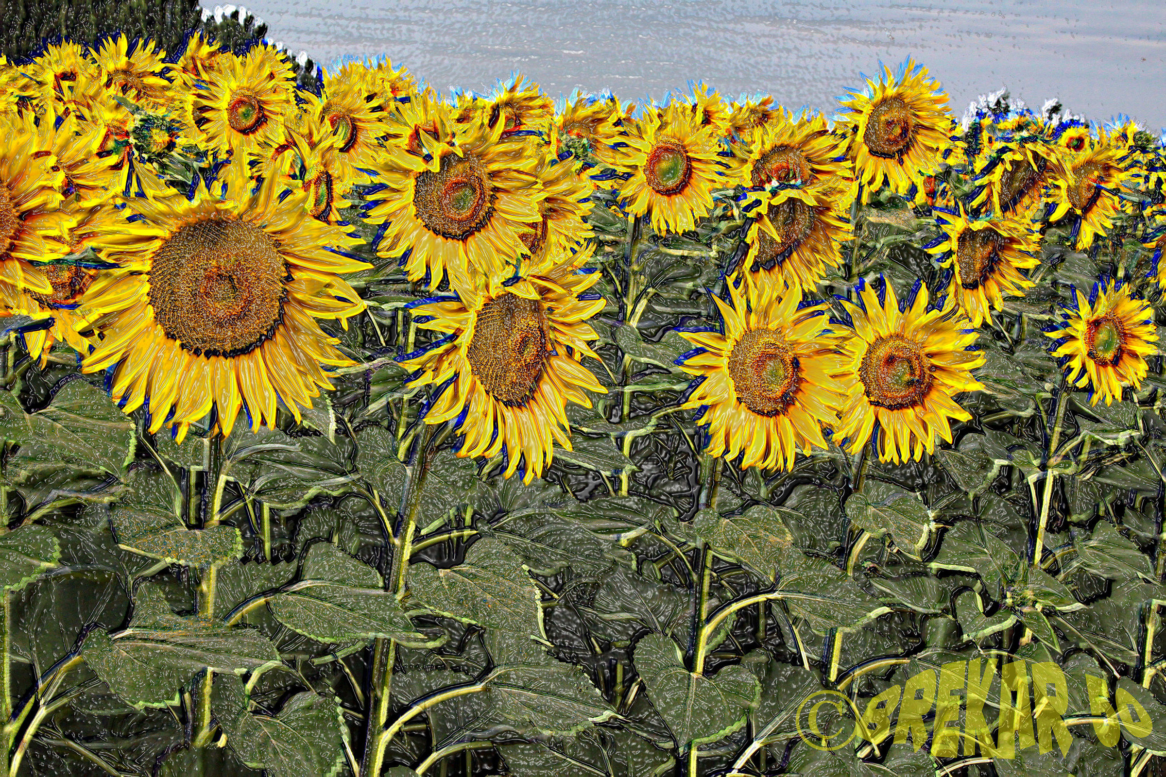 Plastic sunflowers