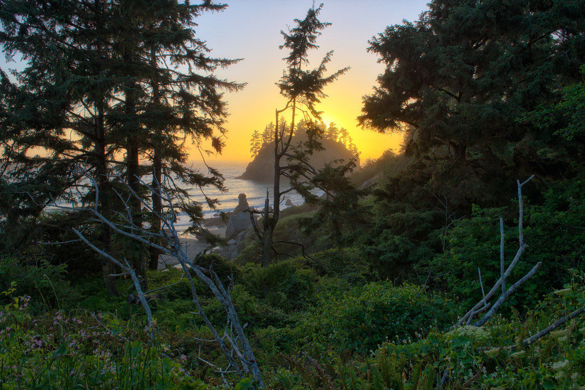 Trinidad Beach, California