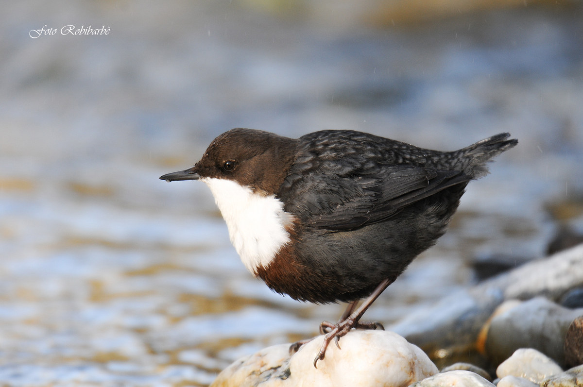 Incontro ravvicinato....