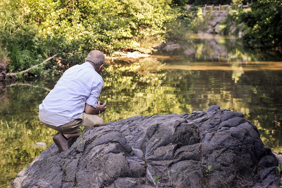 Dino..in perlustrazione!!