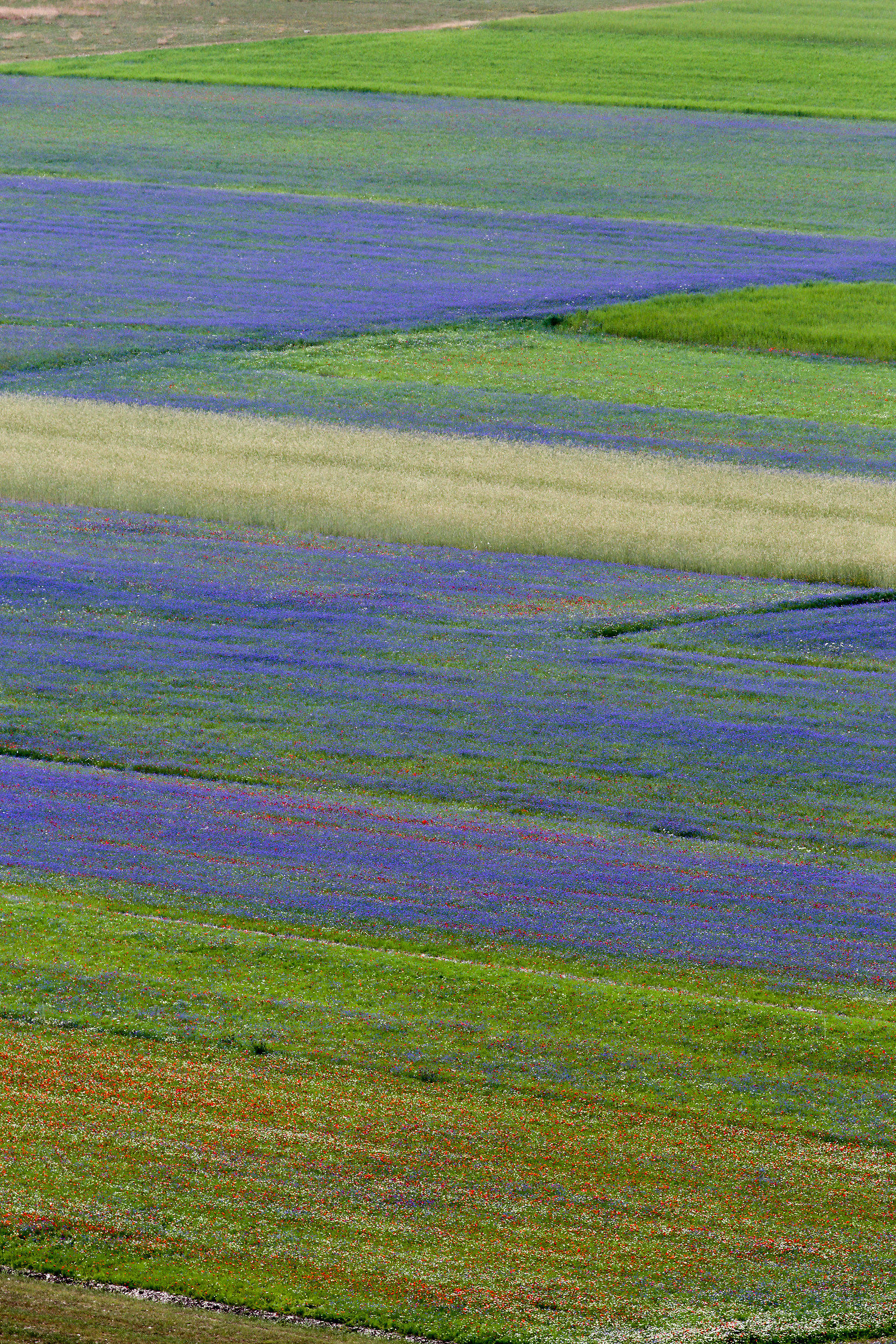 Perspective from Above