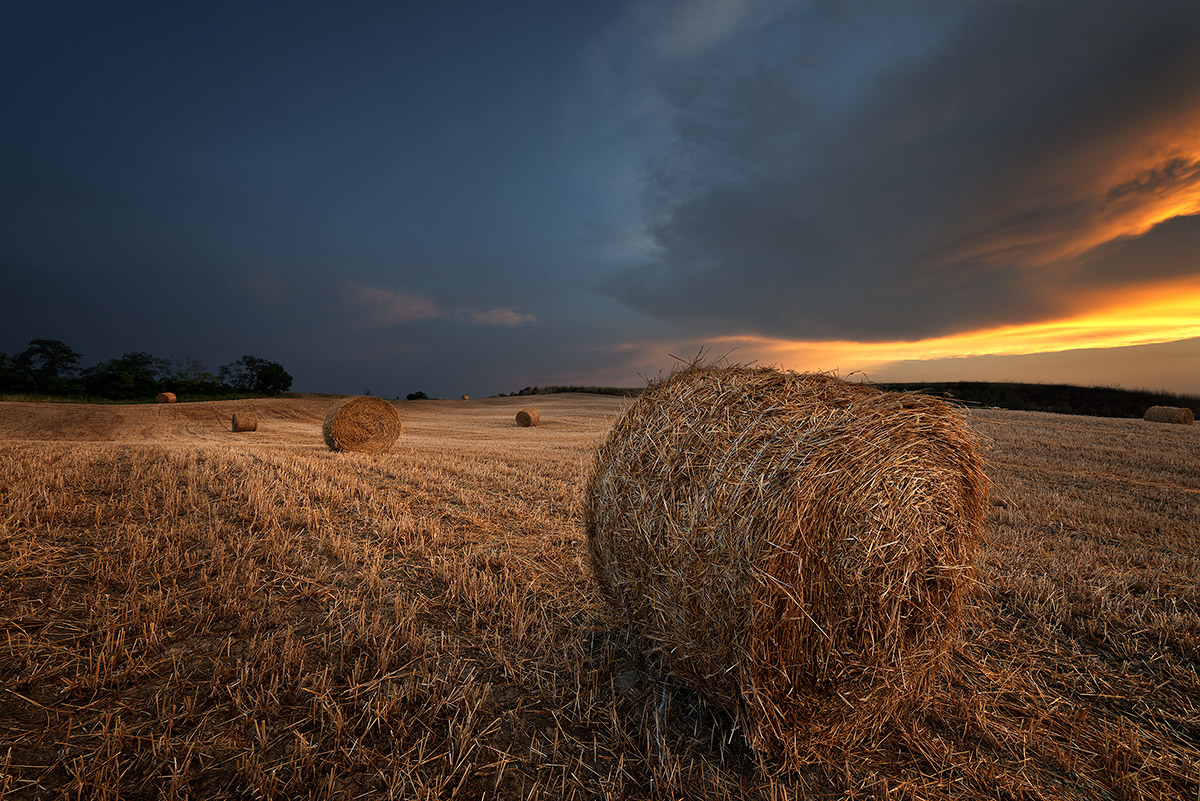Round bales