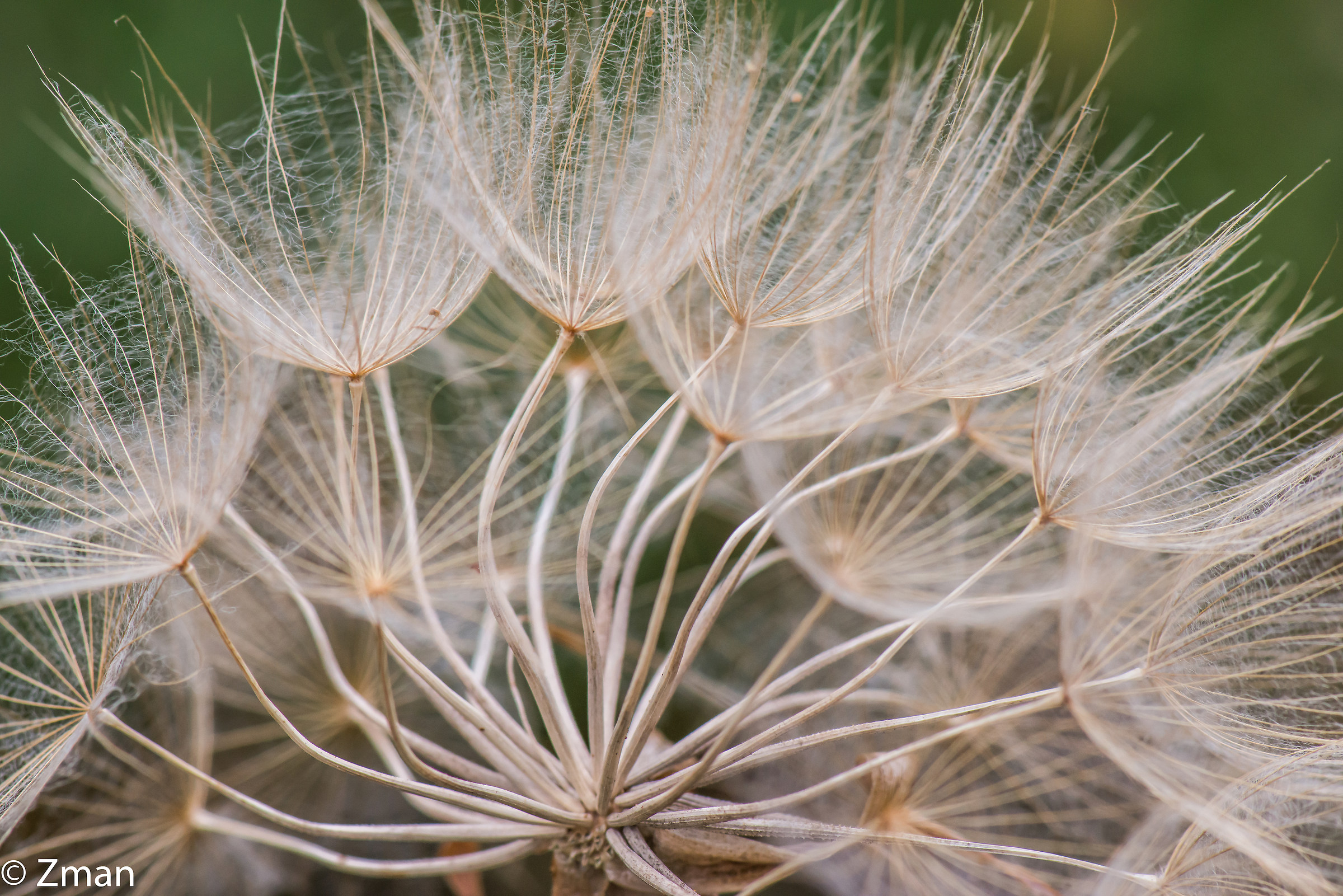 Waiting for the Wind