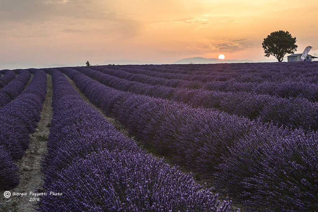 Alba in Provence