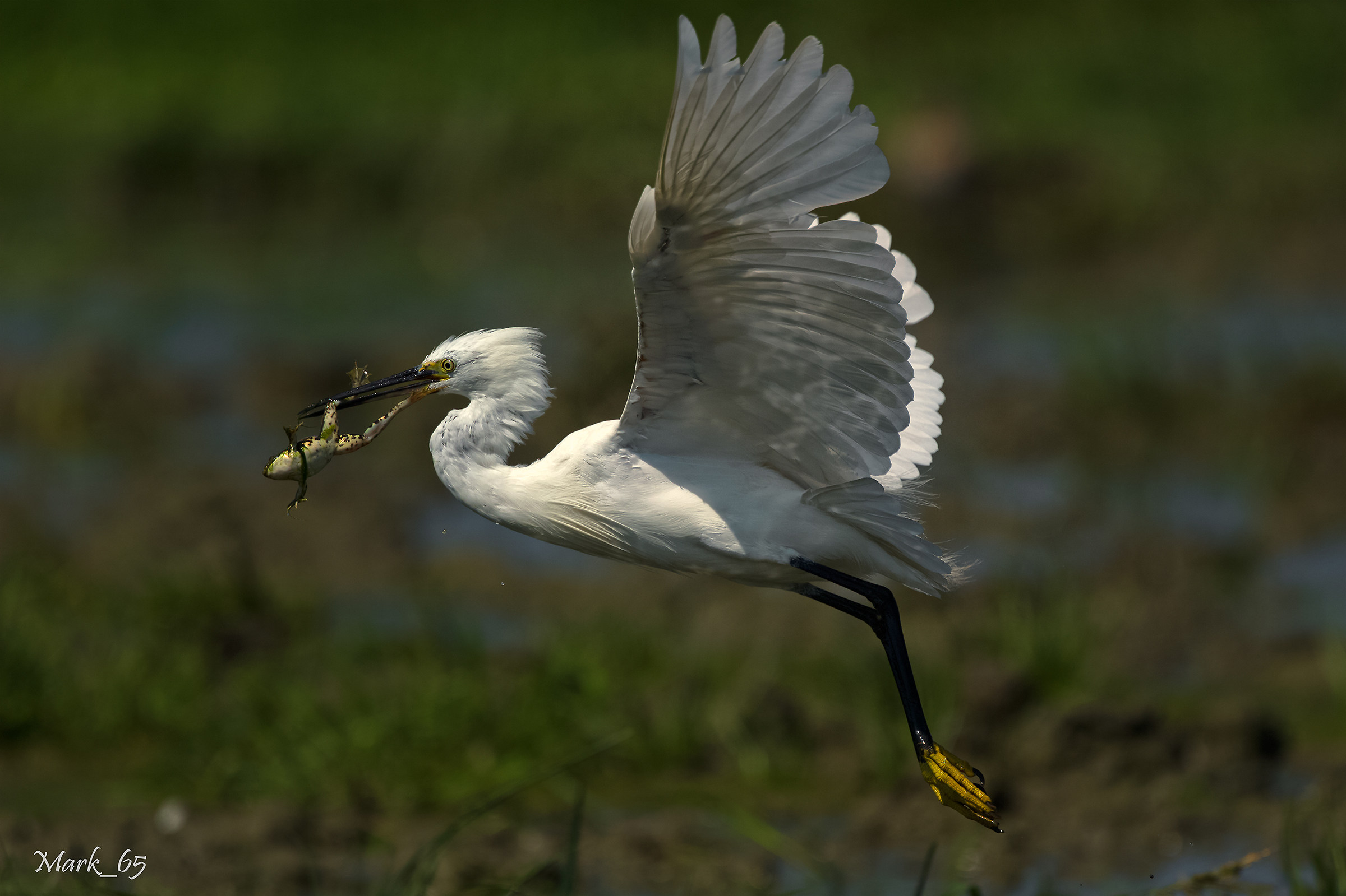 Just a moment and ...