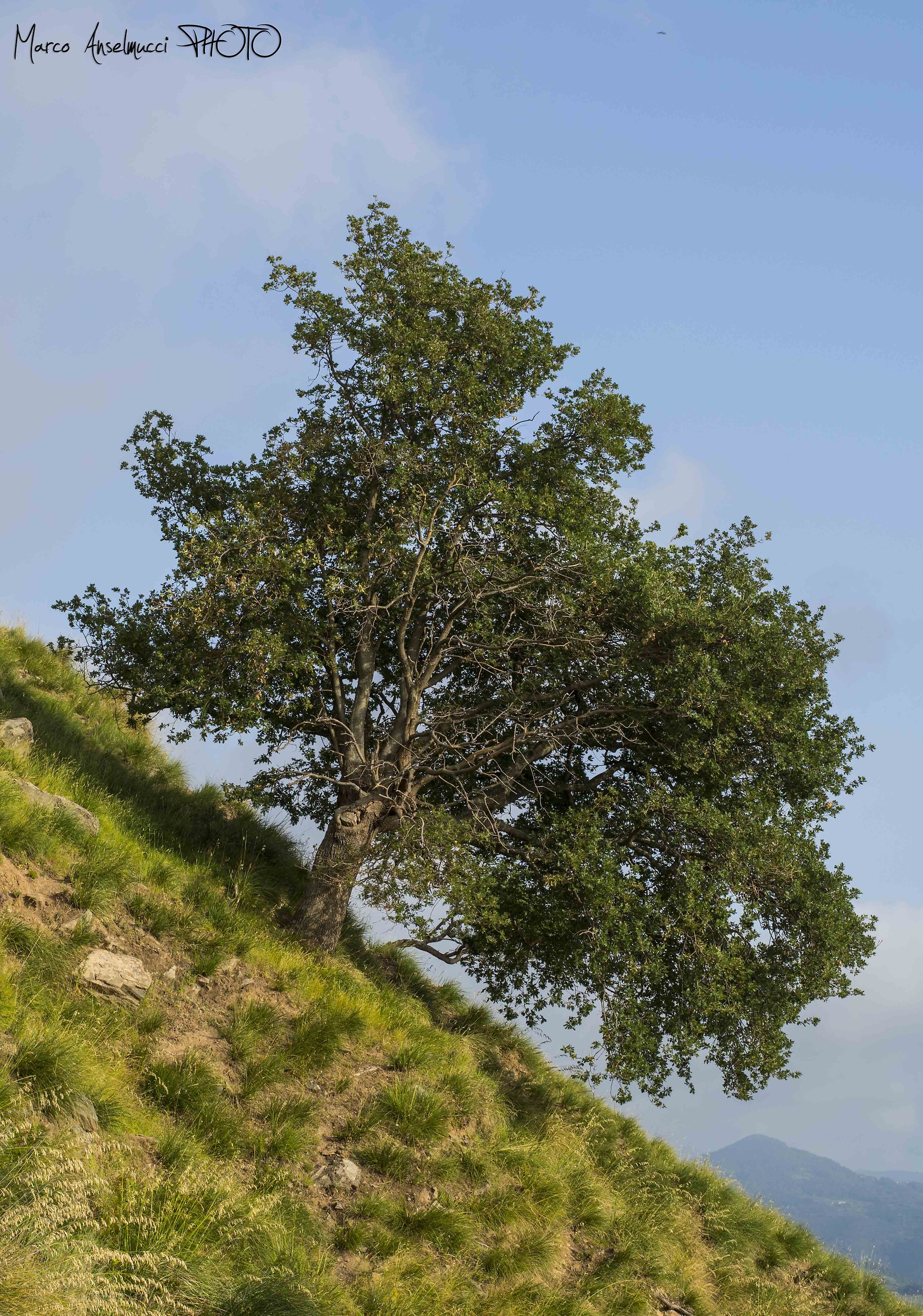 Sfidando la gravità in montagna