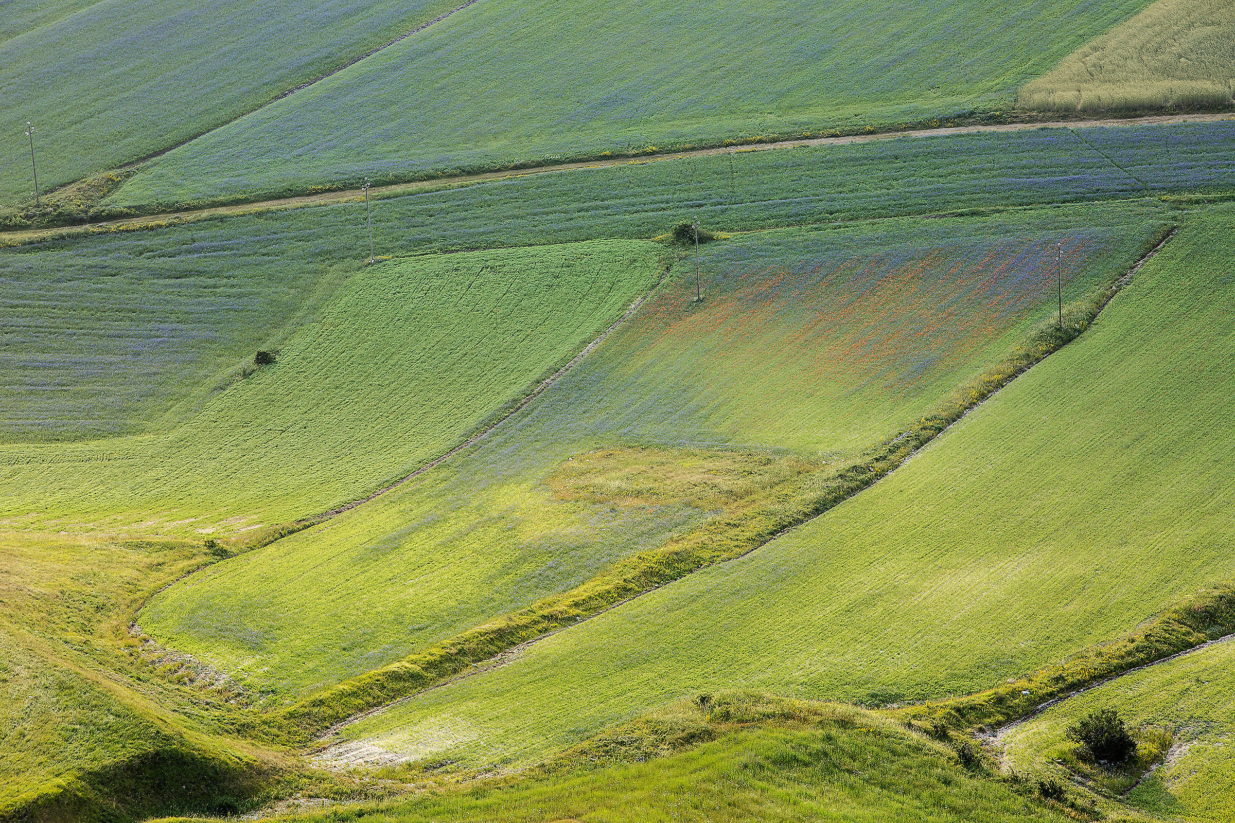 castelluccio 3