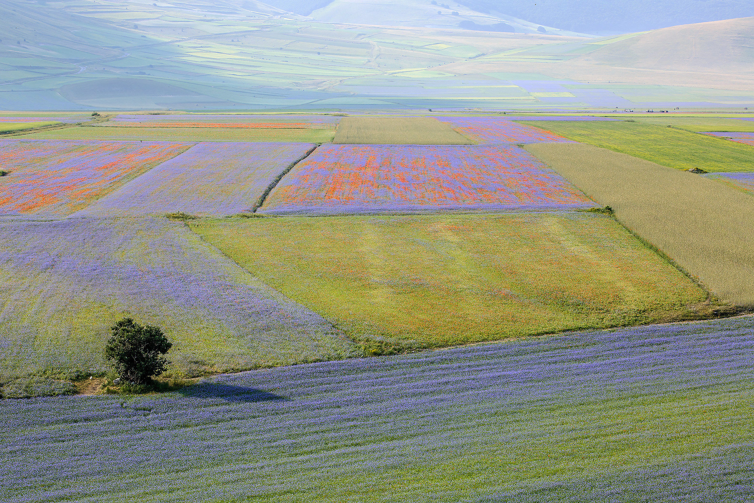 castelluccio 13