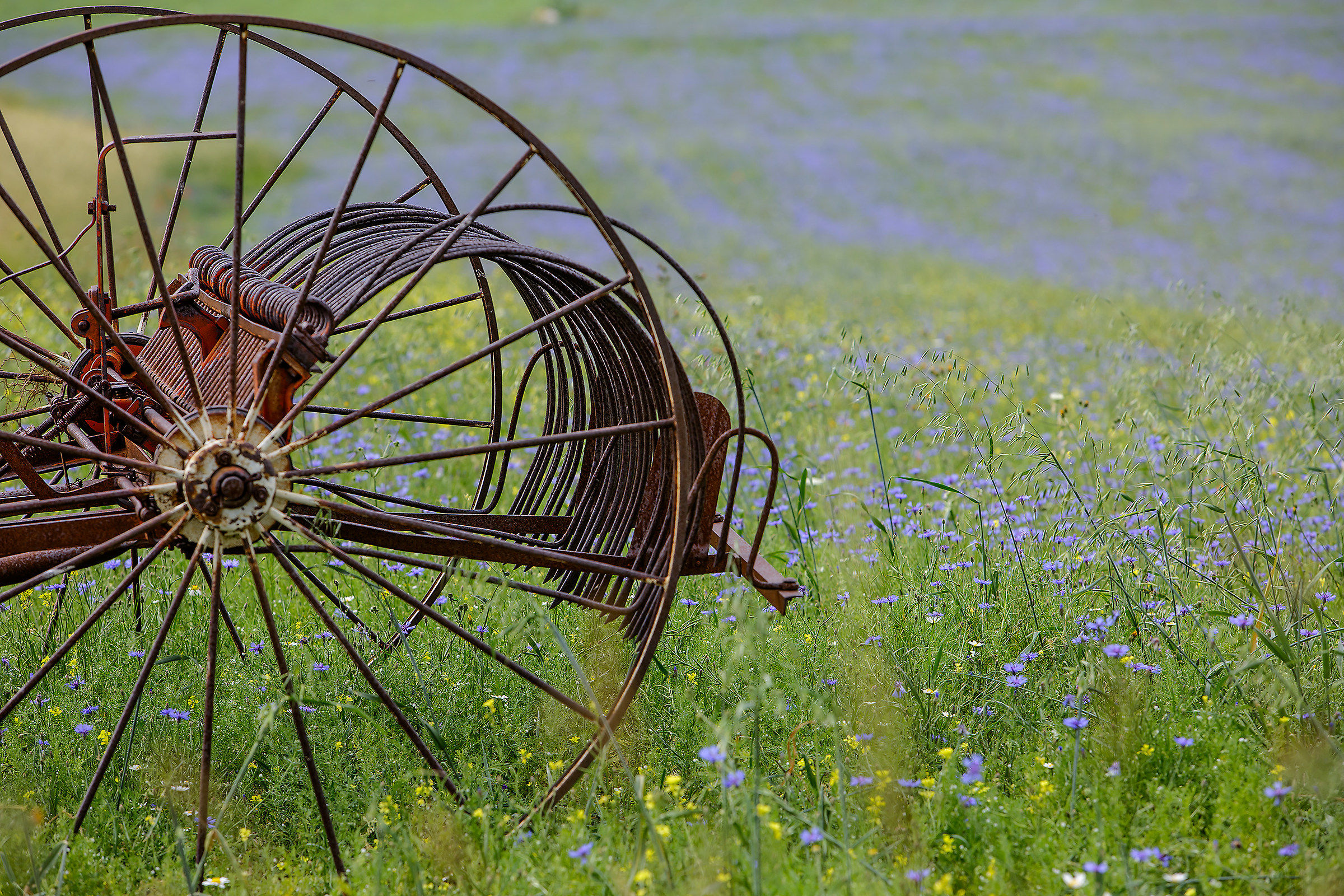 castelluccio 17