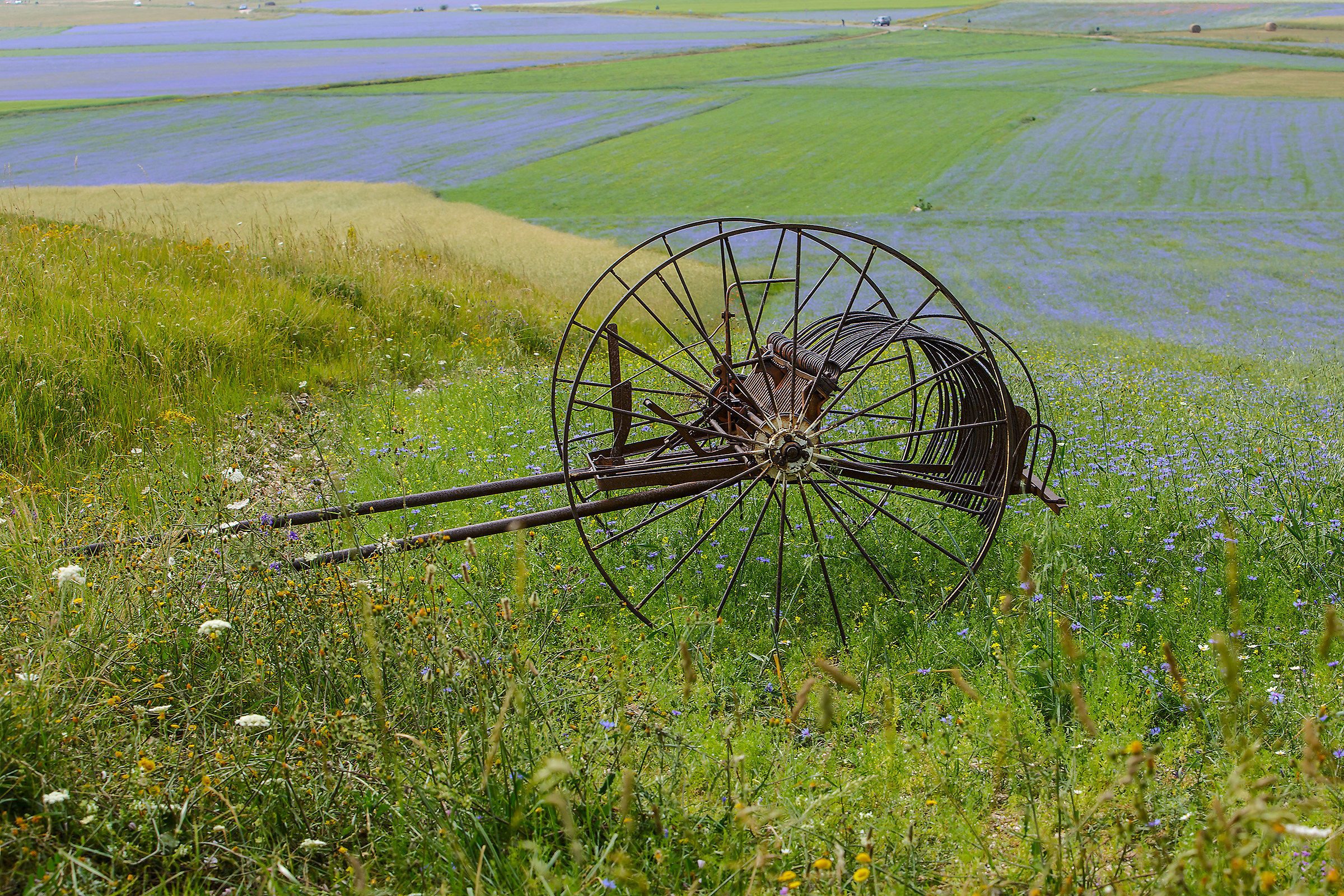 castelluccio 19