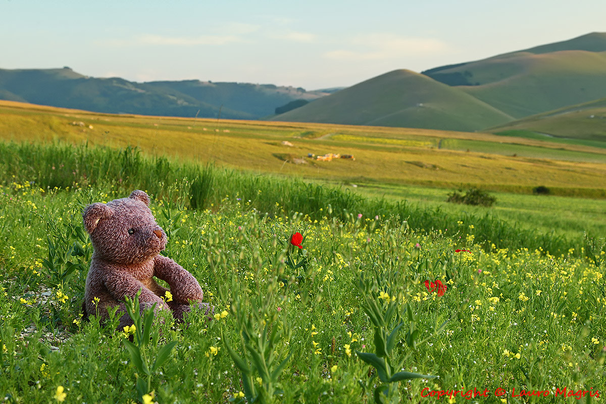 Le vacanze di Eric a Castelluccio