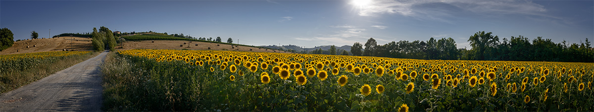 Try panoramic camera raw