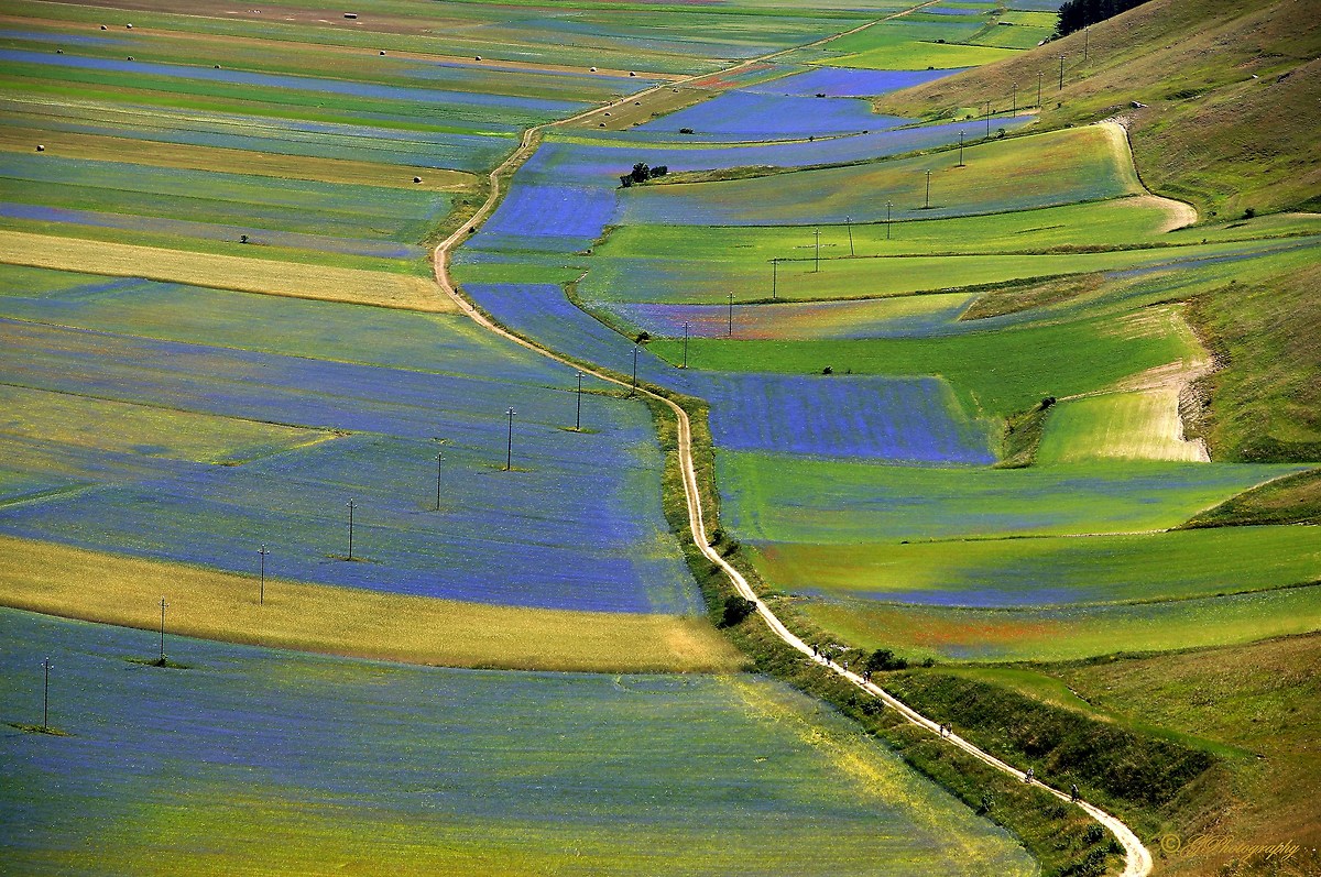 Walking on a watercolor