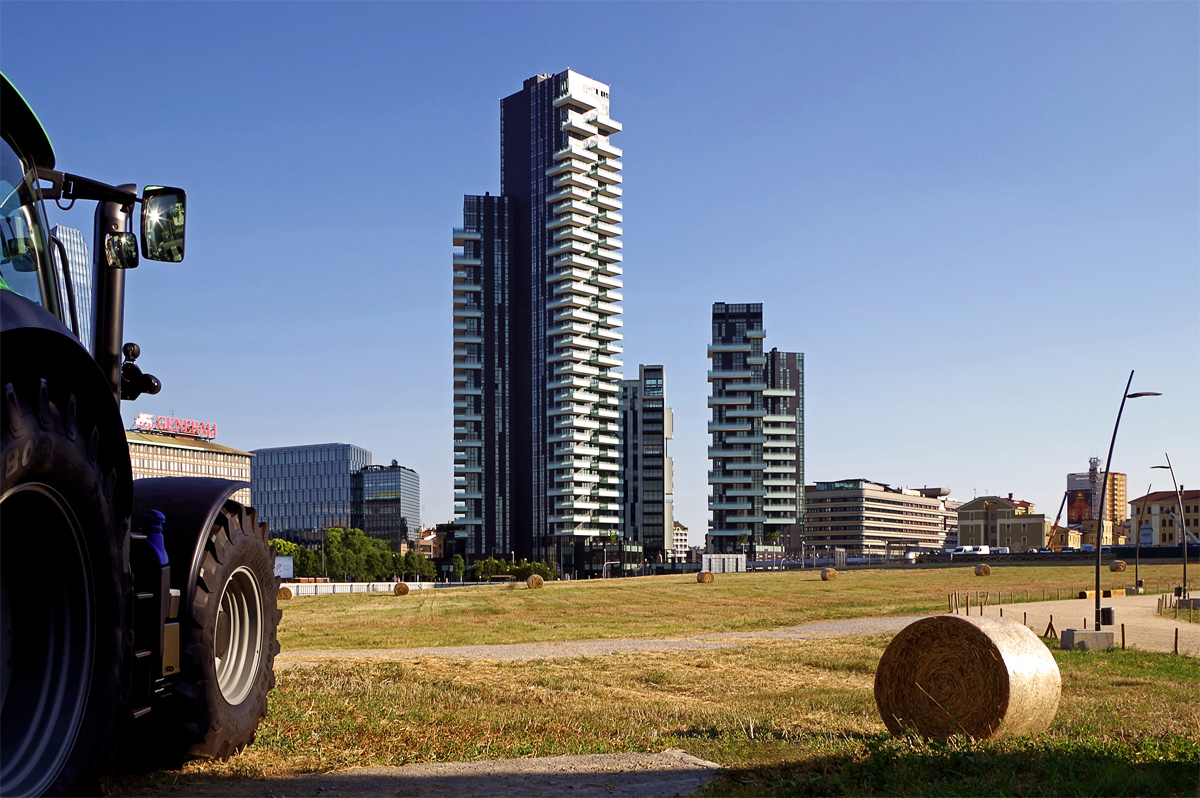 Il raccolto - Il Grano a Porta Nuova