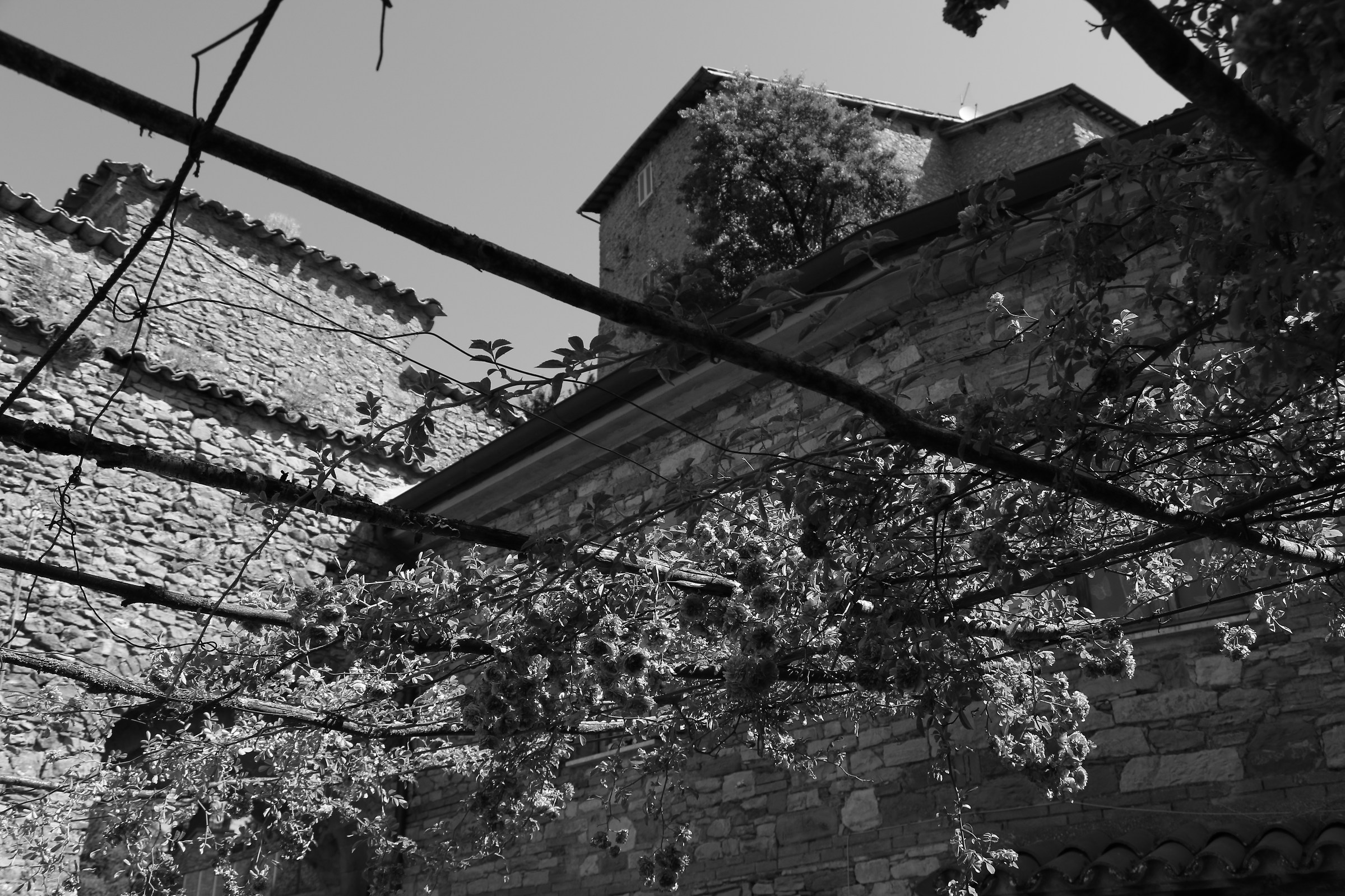 Monte Santa Maria Tiberina