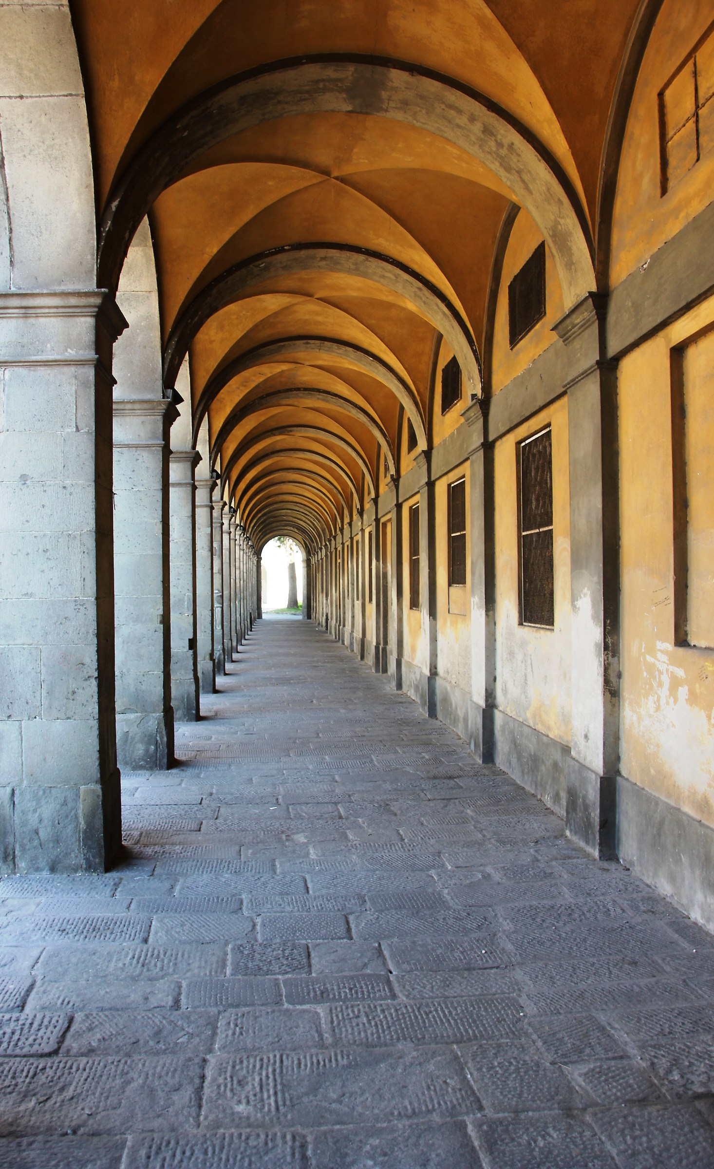 Lucca.