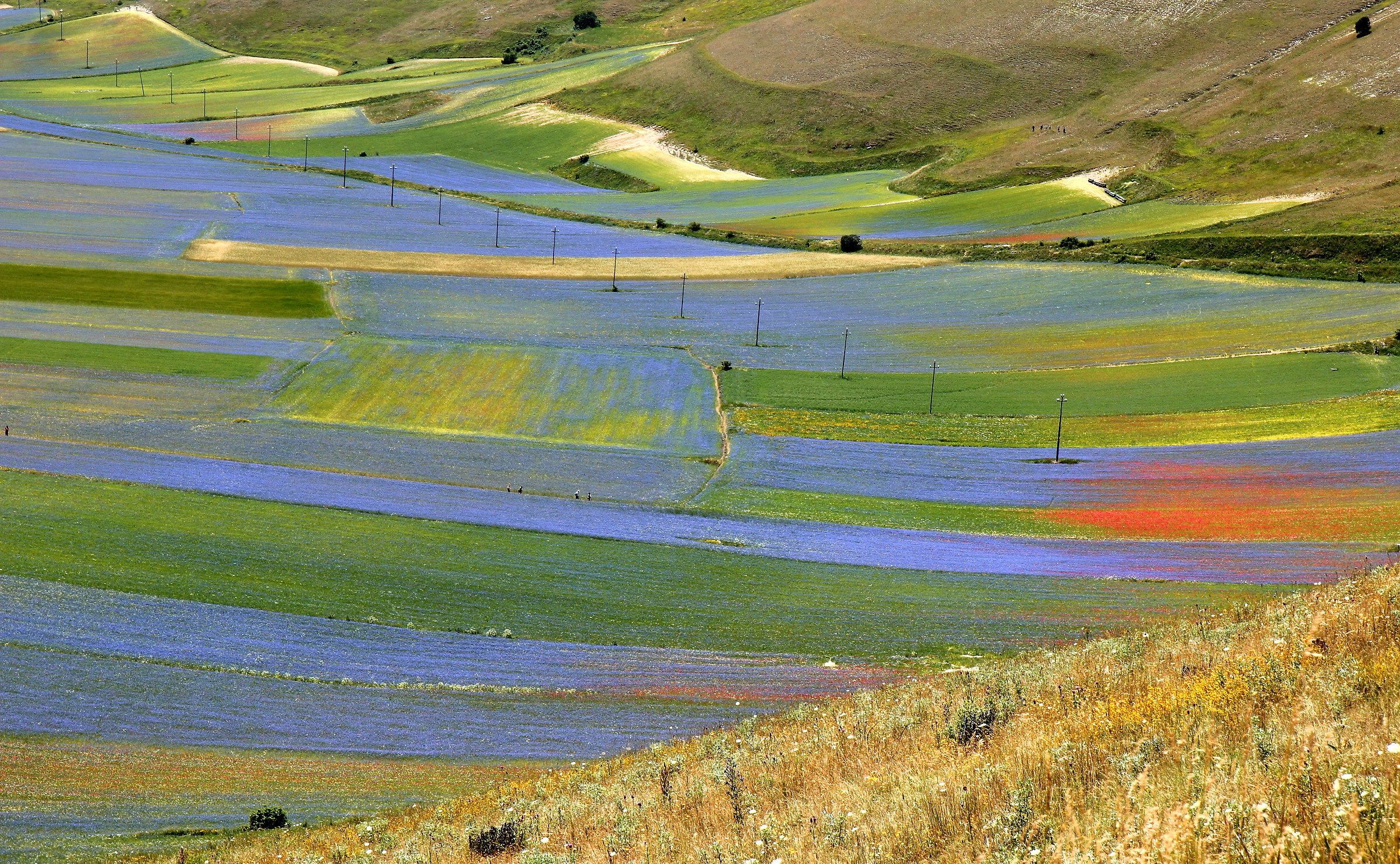 Tavolozza di Castelluccio