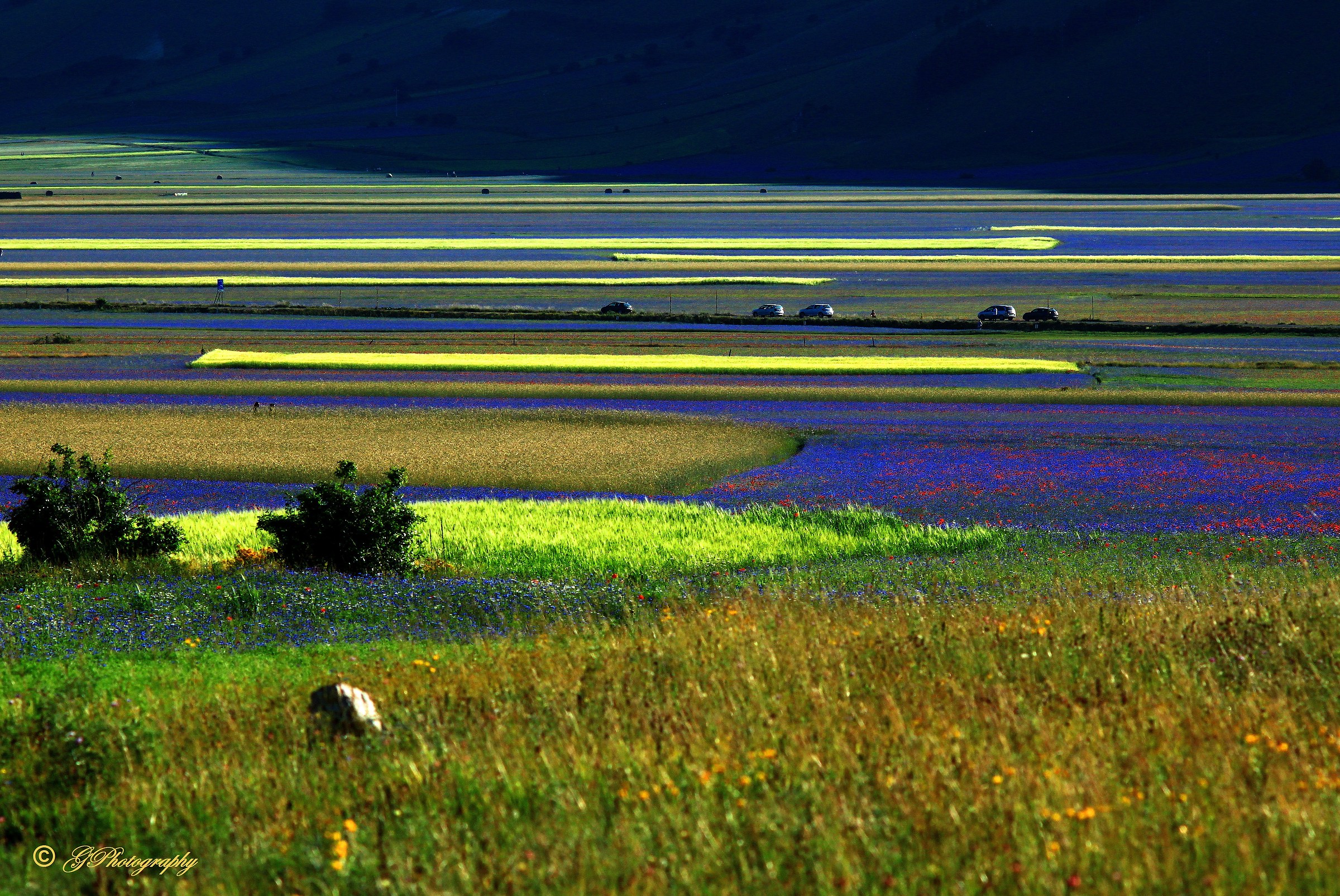 Bye bye Castelluccio