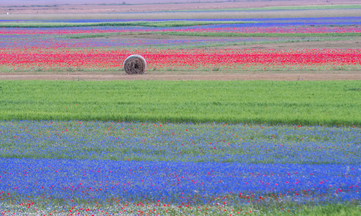 castelluccio blue hour
