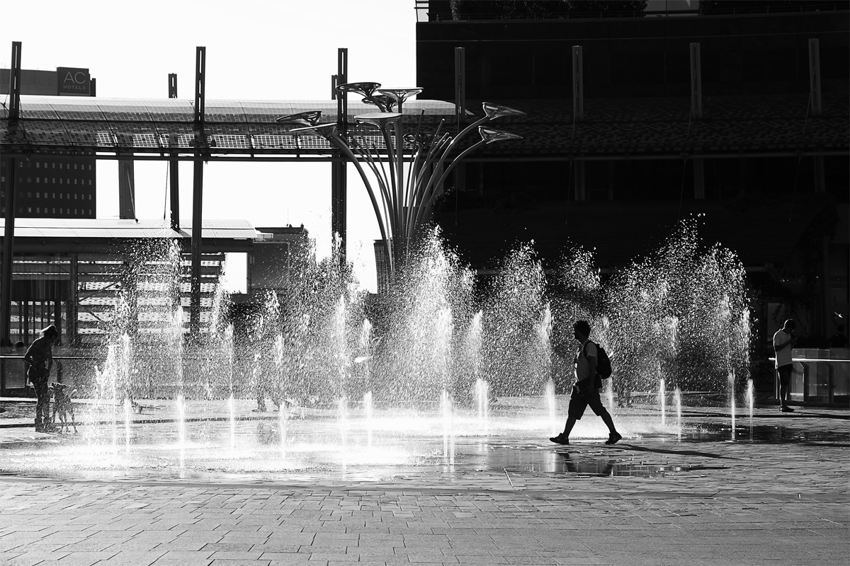 Zampilli in piazza Gae Aulenti