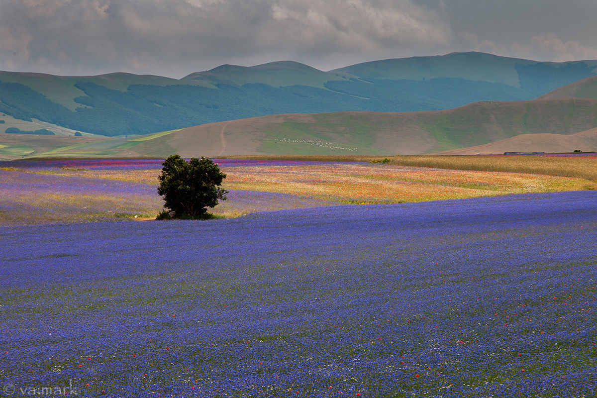 Castelluccio ....