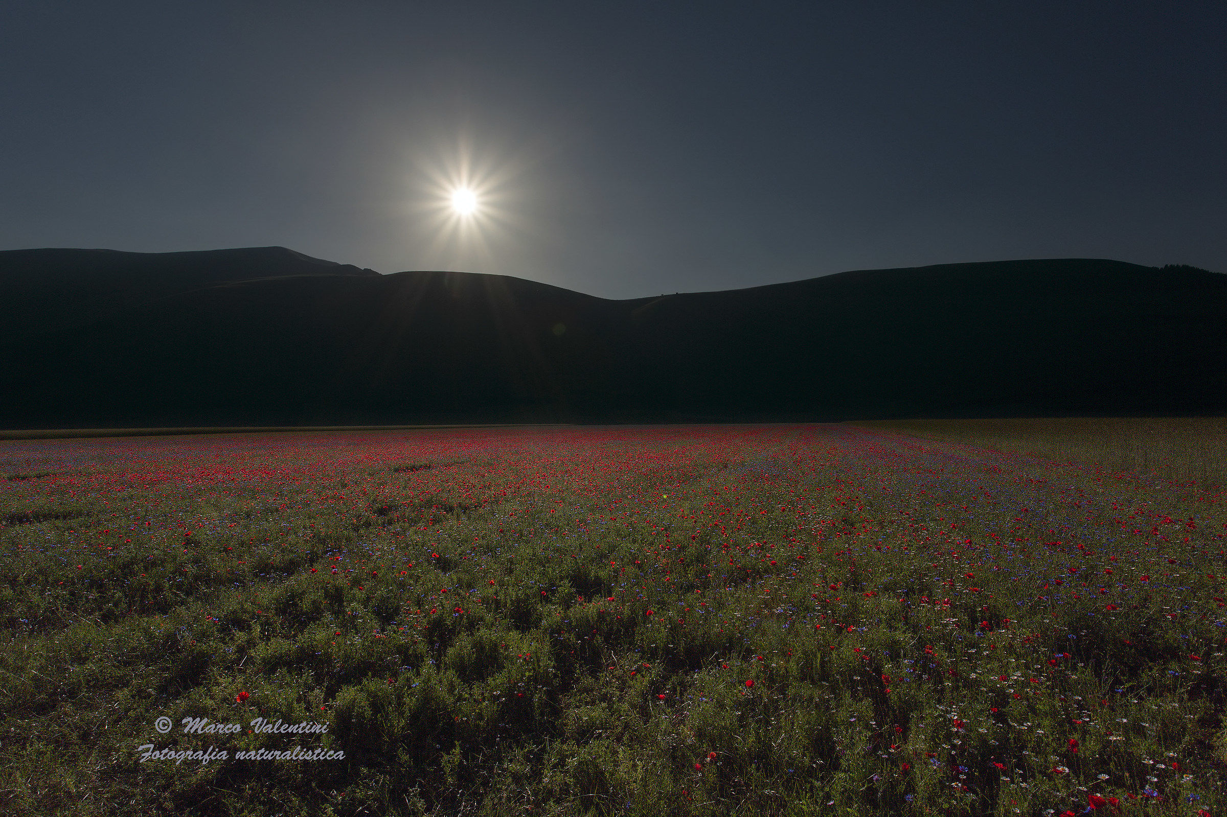 The sun even at night