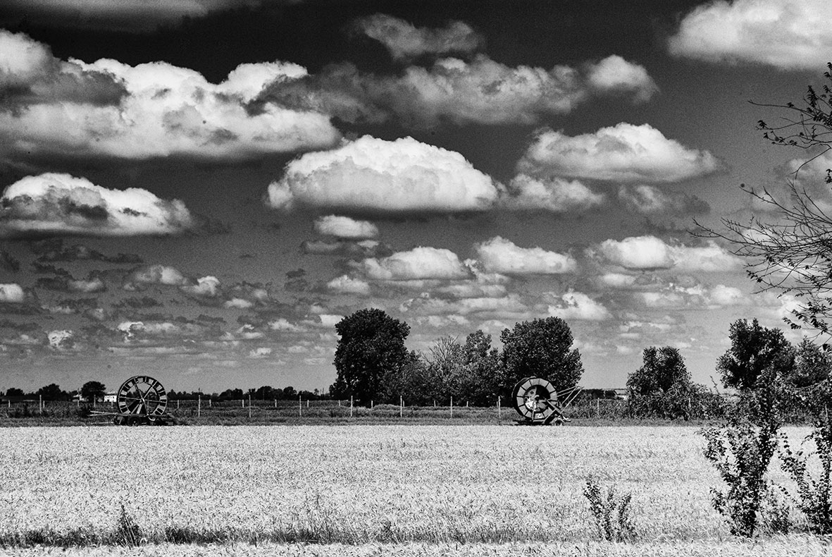 Reggiana campaign - 2