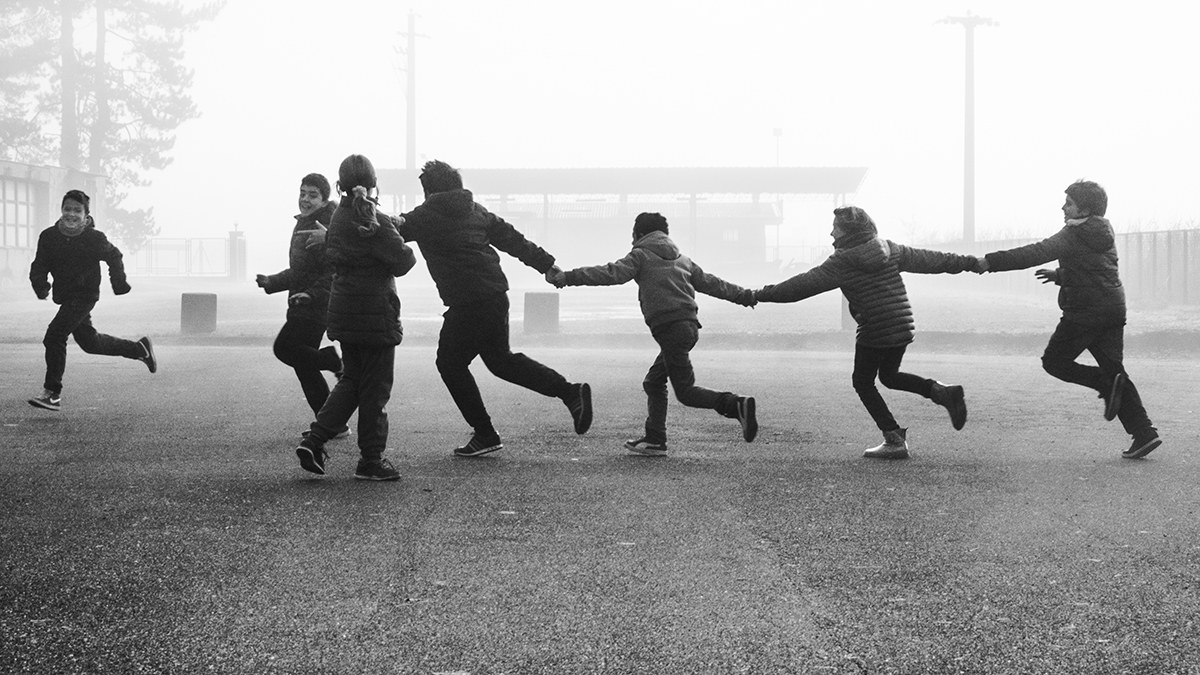 Who's afraid of the hawk?